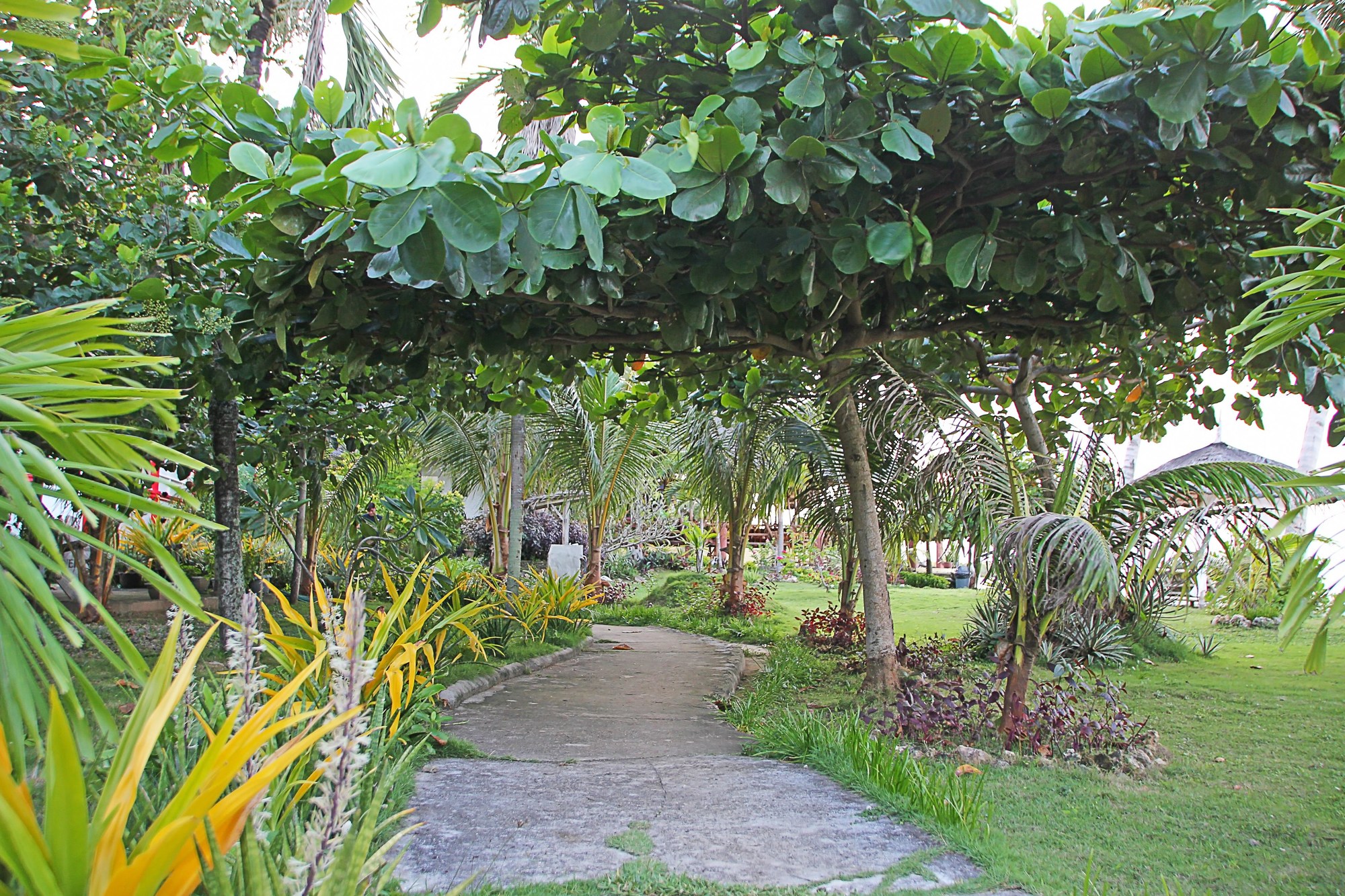Toris Paradise