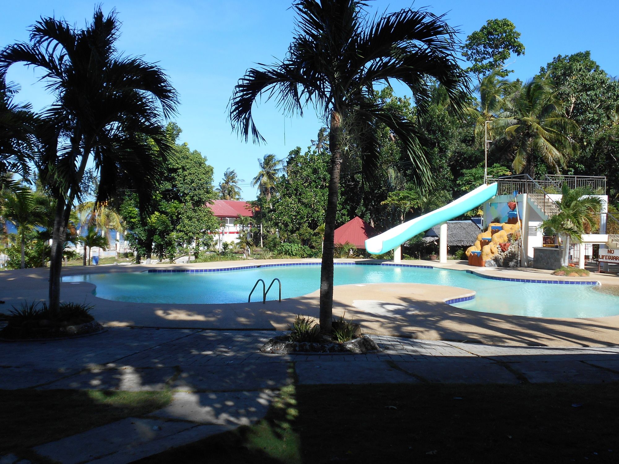 Toris Paradise