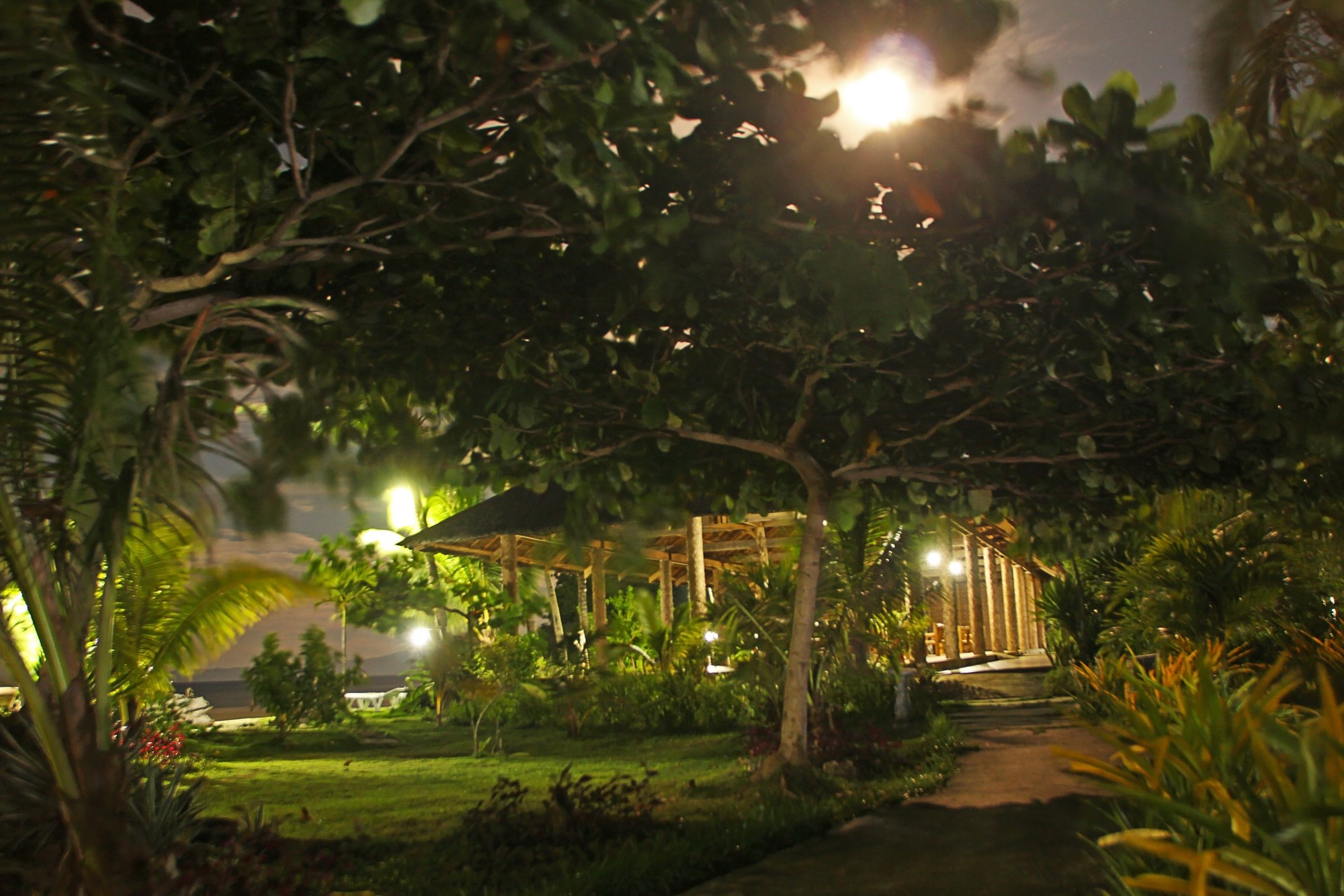 Toris Paradise