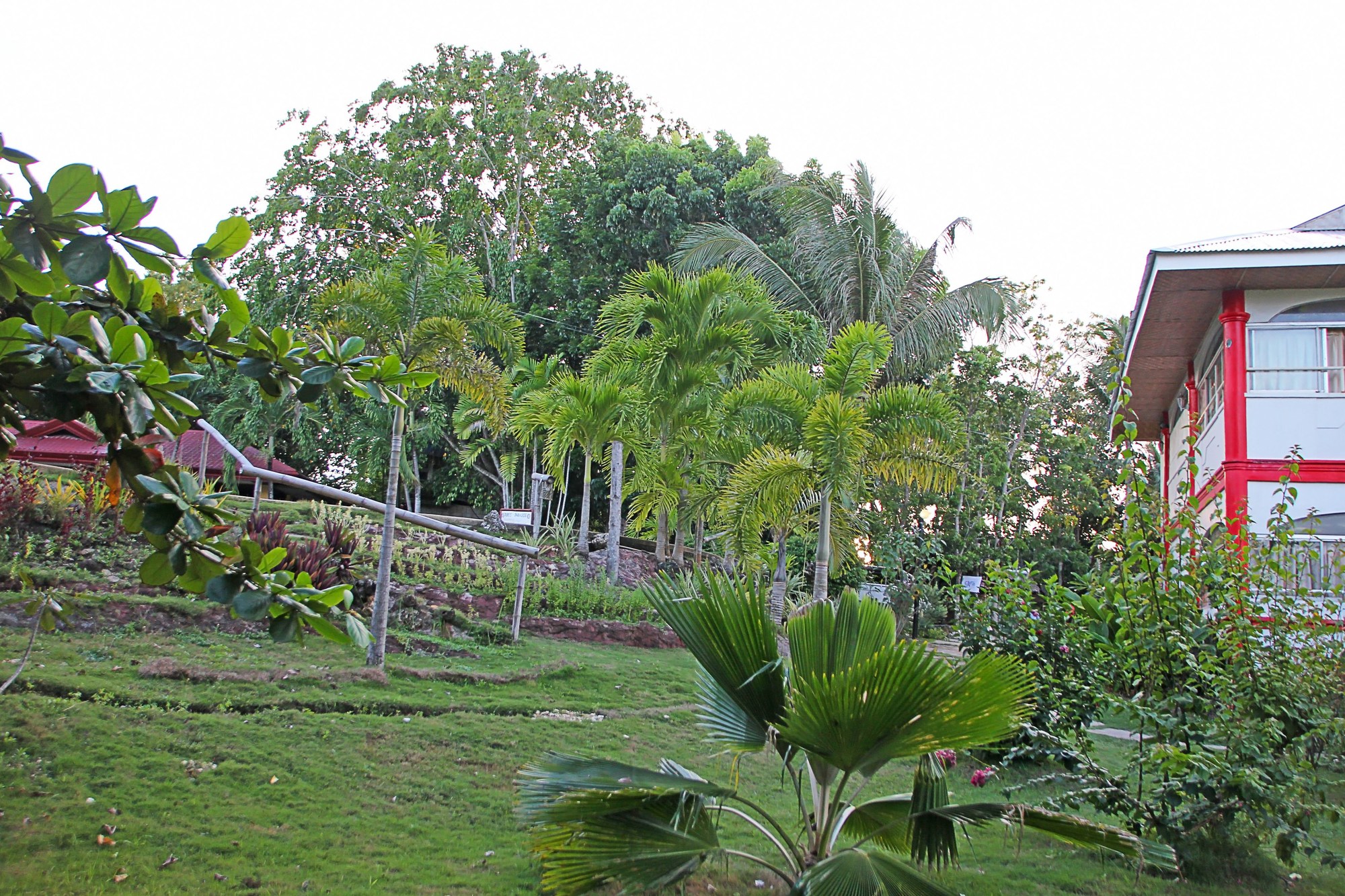 Toris Paradise