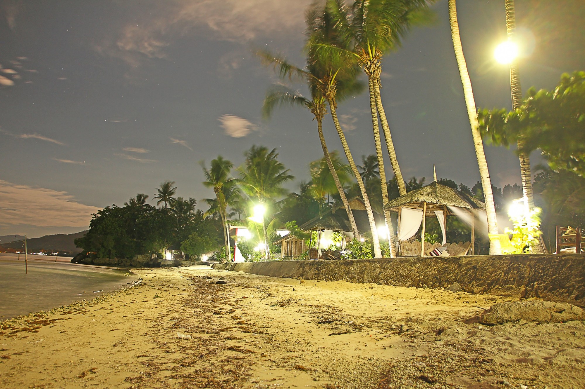 Toris Paradise