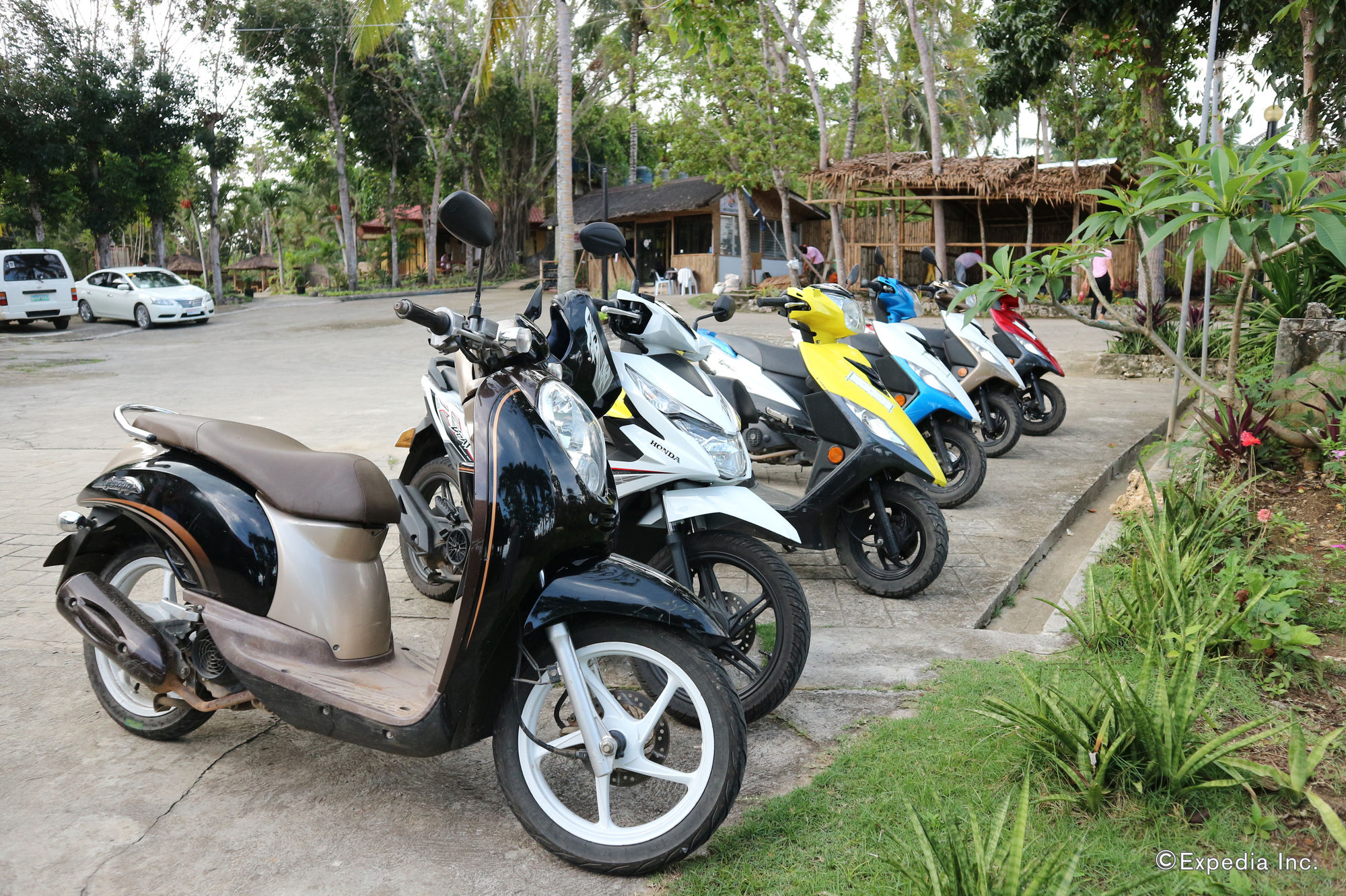 Toris Paradise