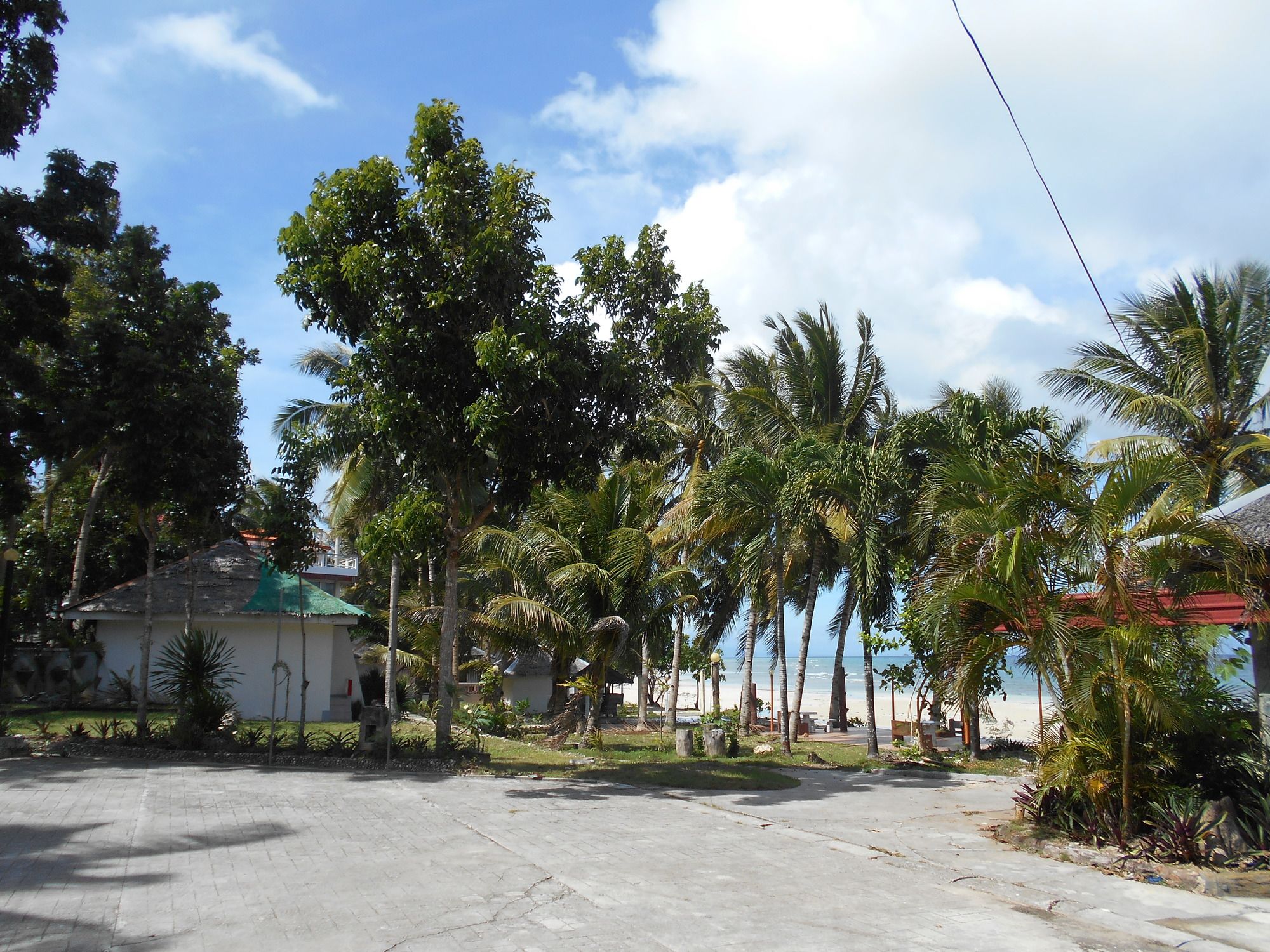 Toris Paradise