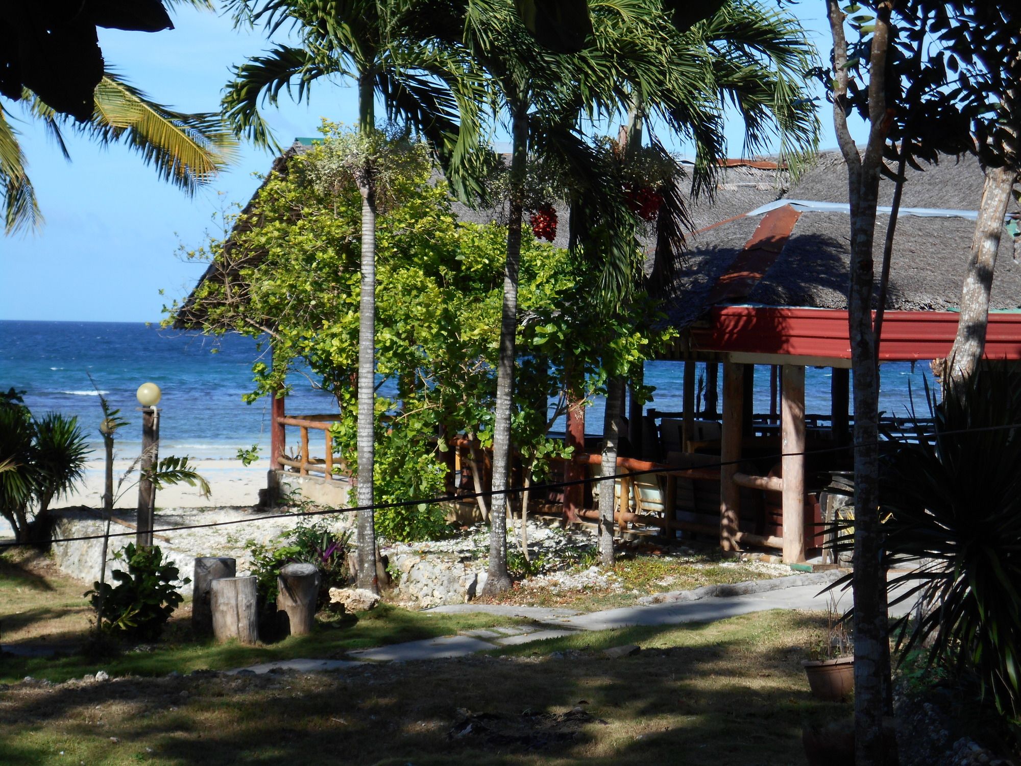 Toris Paradise