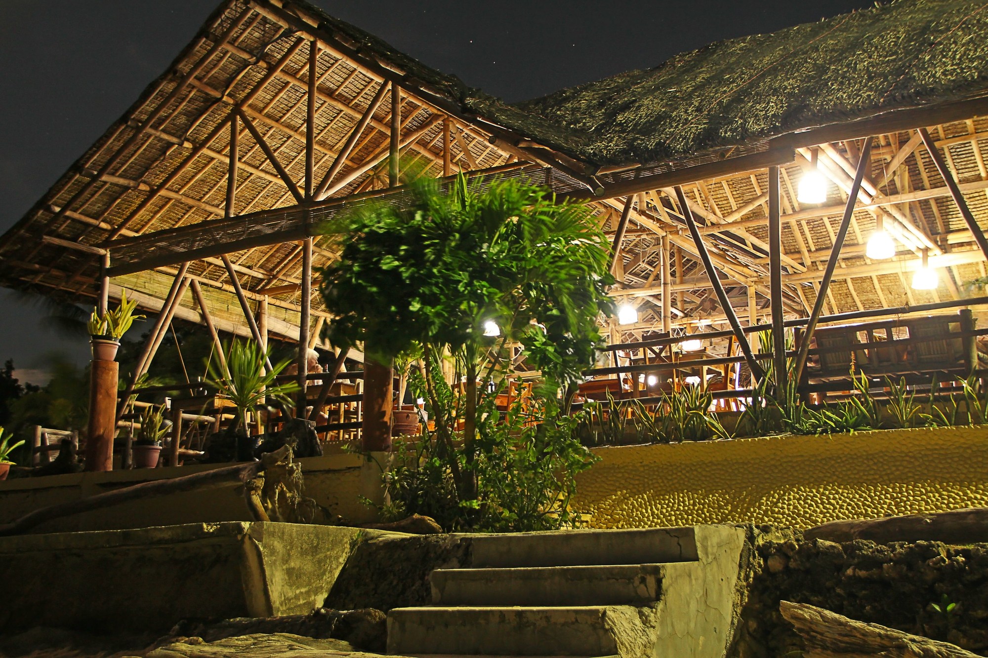 Toris Paradise