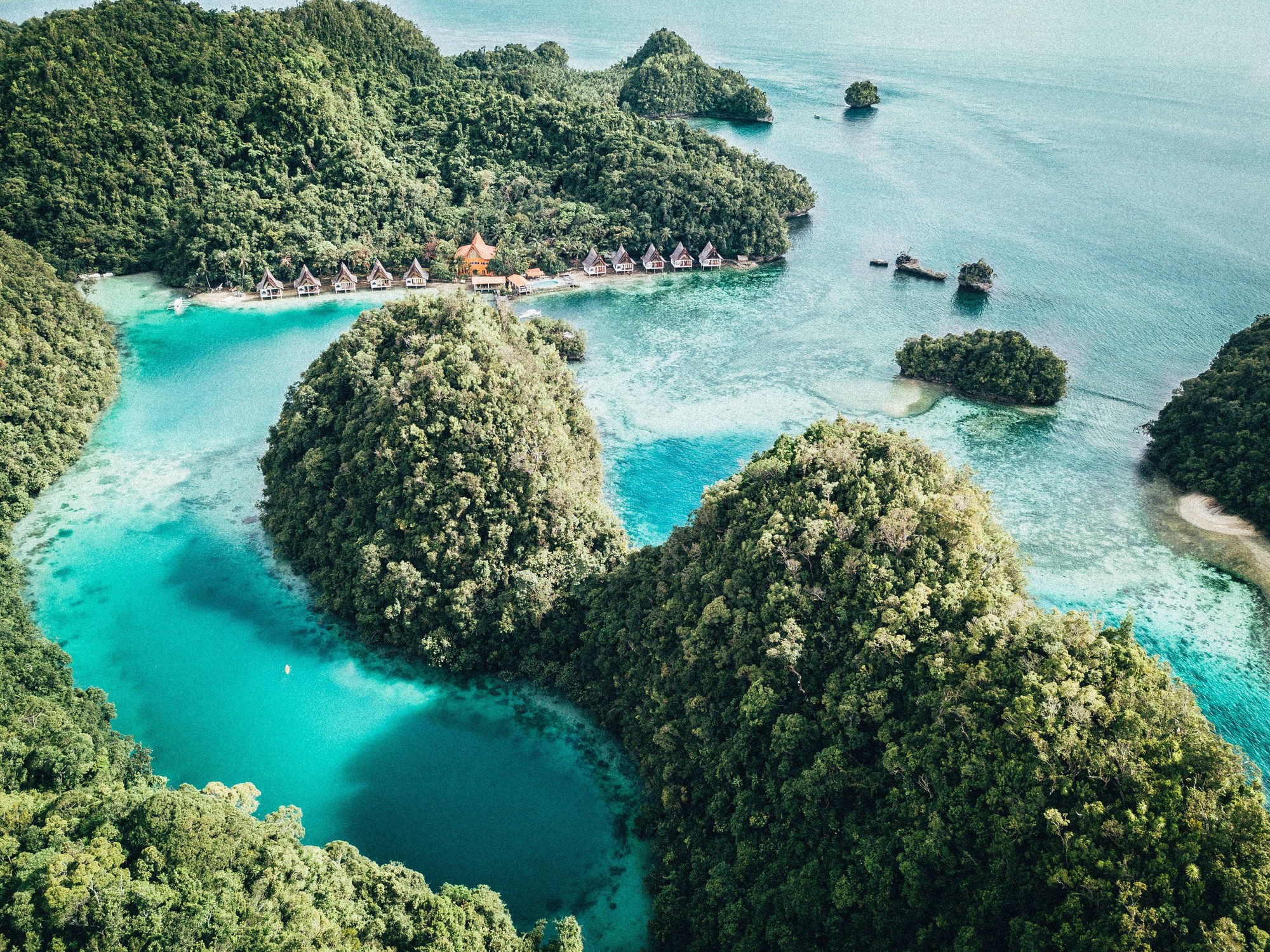 Club Tara Resort