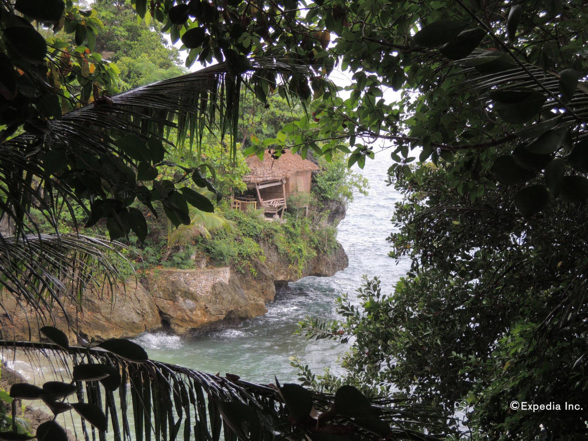 Bunzie's Cove