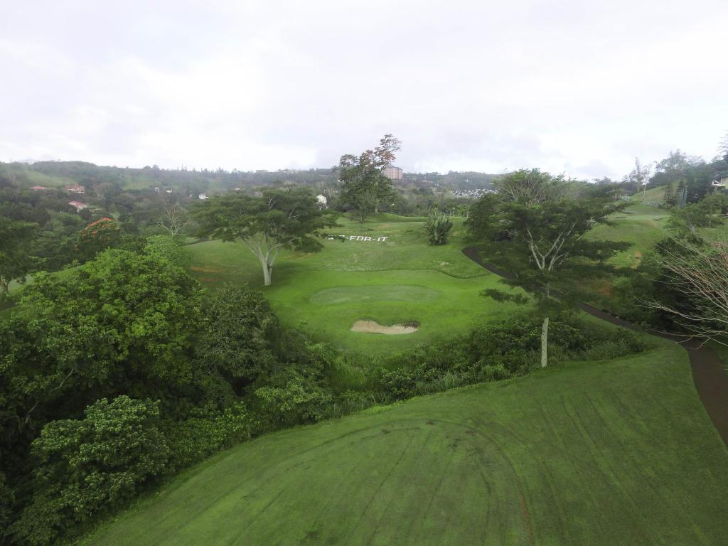 Canyon Woods The Peak