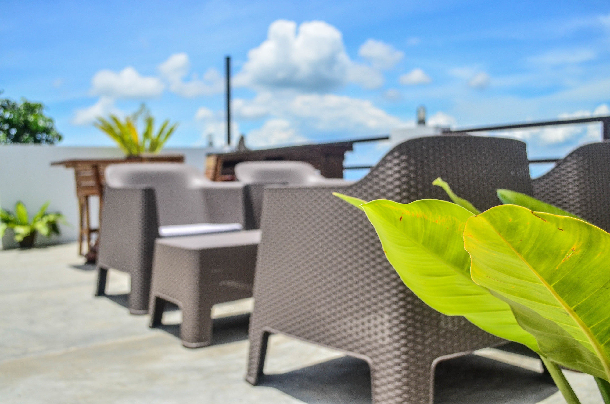 Eco Hotel