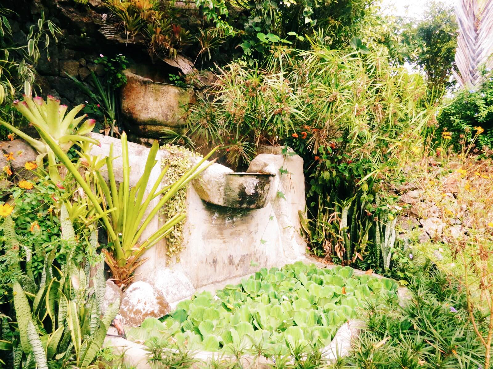 Nurture Wellness Village