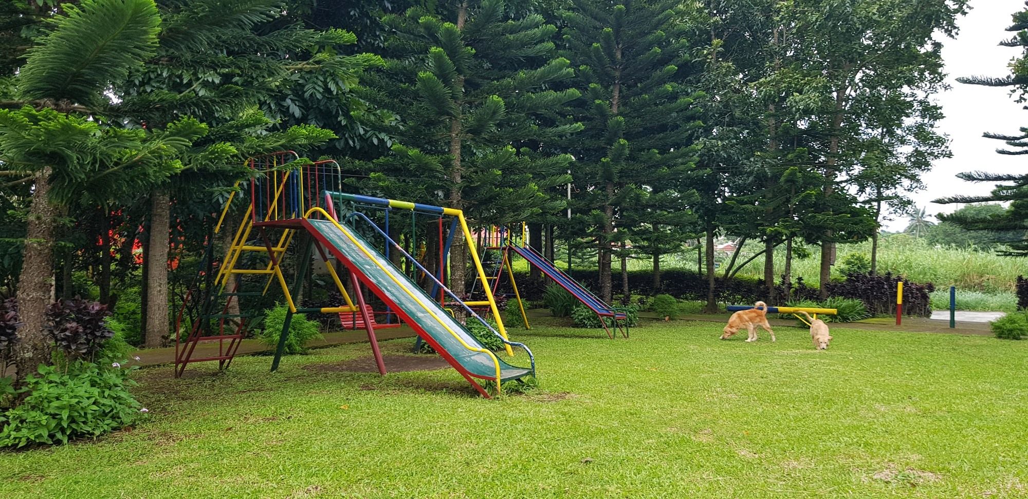 Tagaytay Summer House