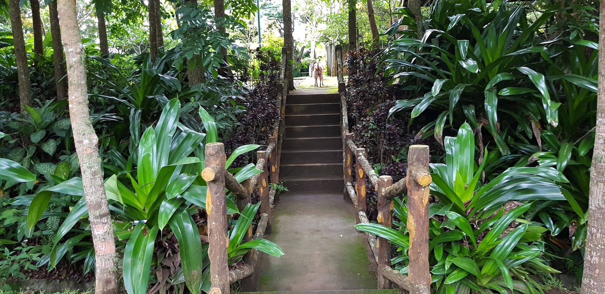 Tagaytay Summer House