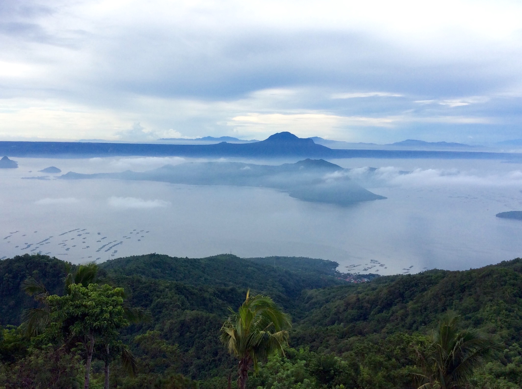 The Carmelence View