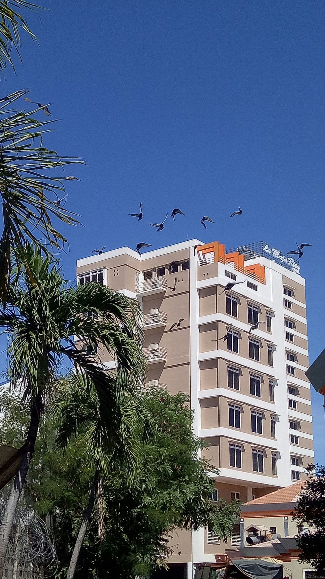 La Maja Rica Hotel