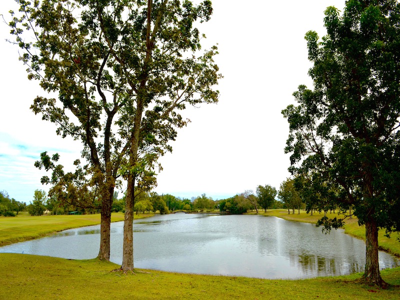 Luisita Central Park Hotel