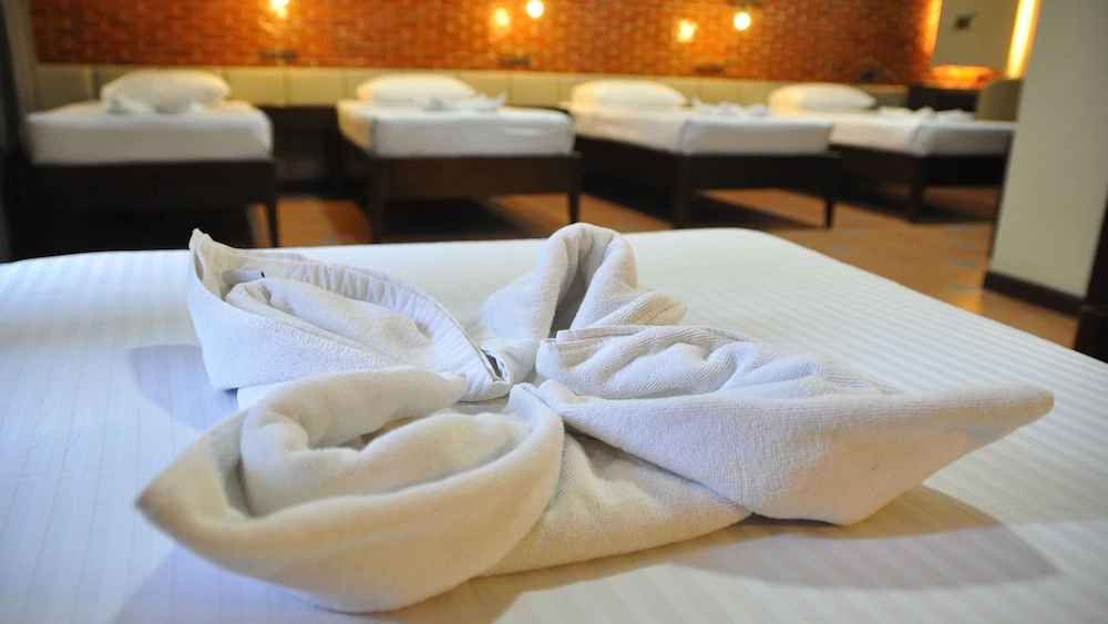 Vigan Plaza Hotel