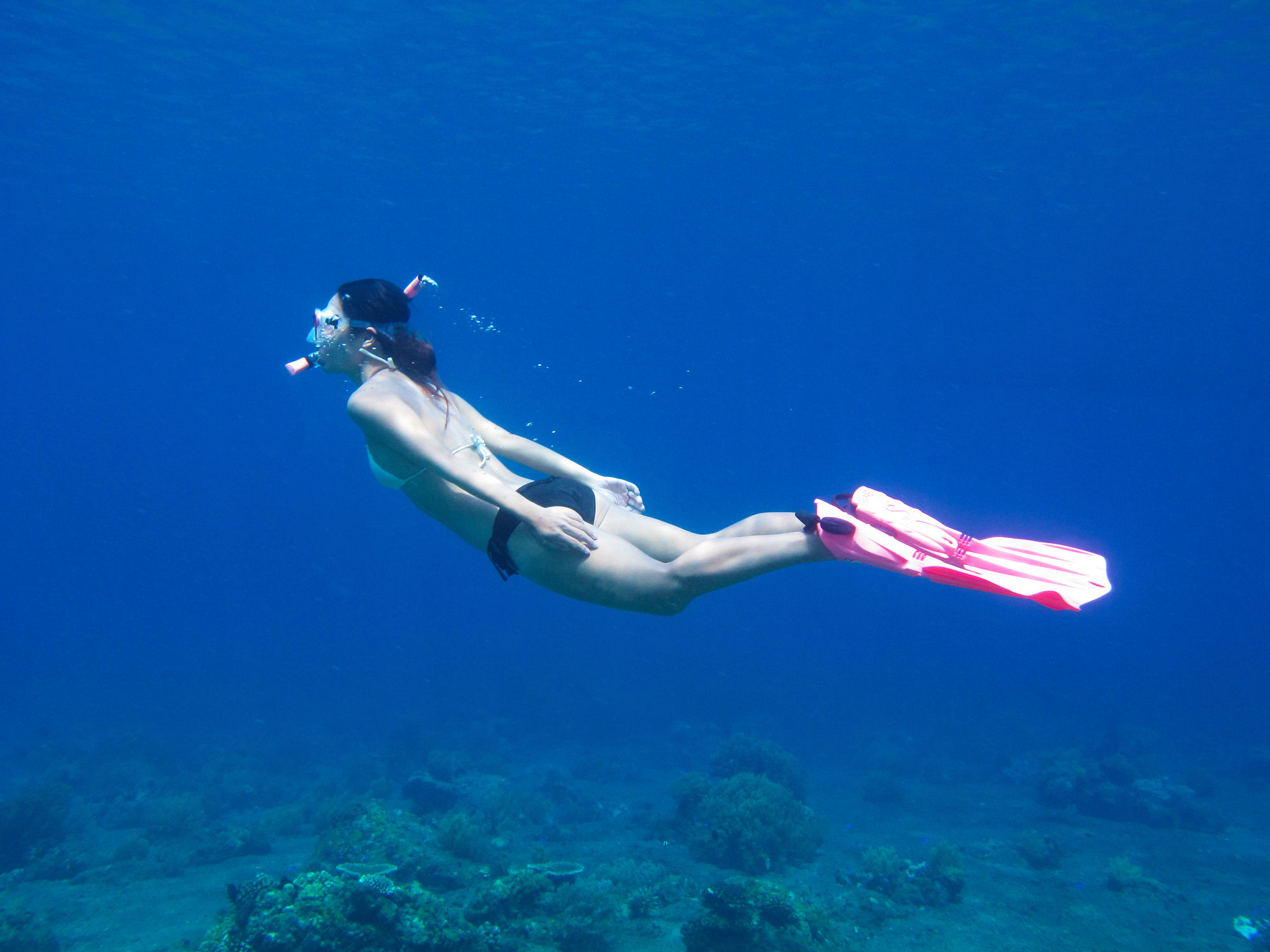 Acqua Dive