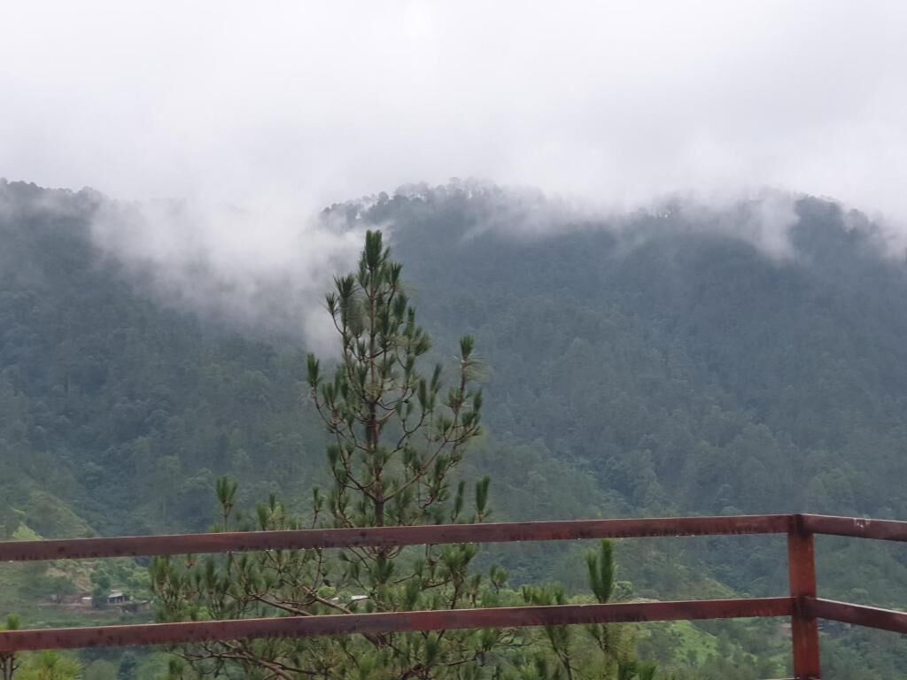 Pine Valley View