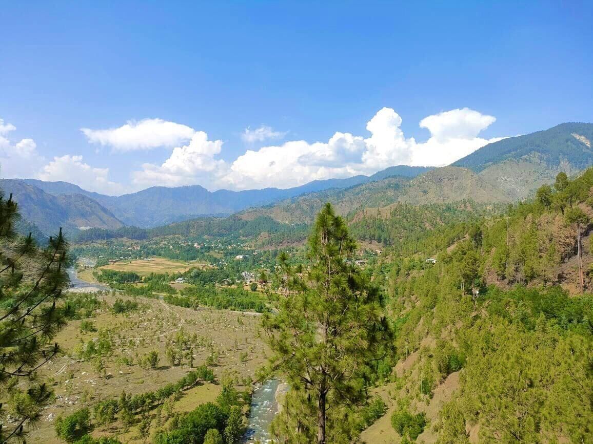 Pine Valley View