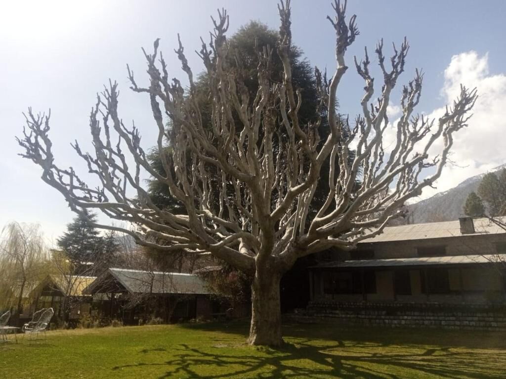 Mountain Inn Hotel Chitral