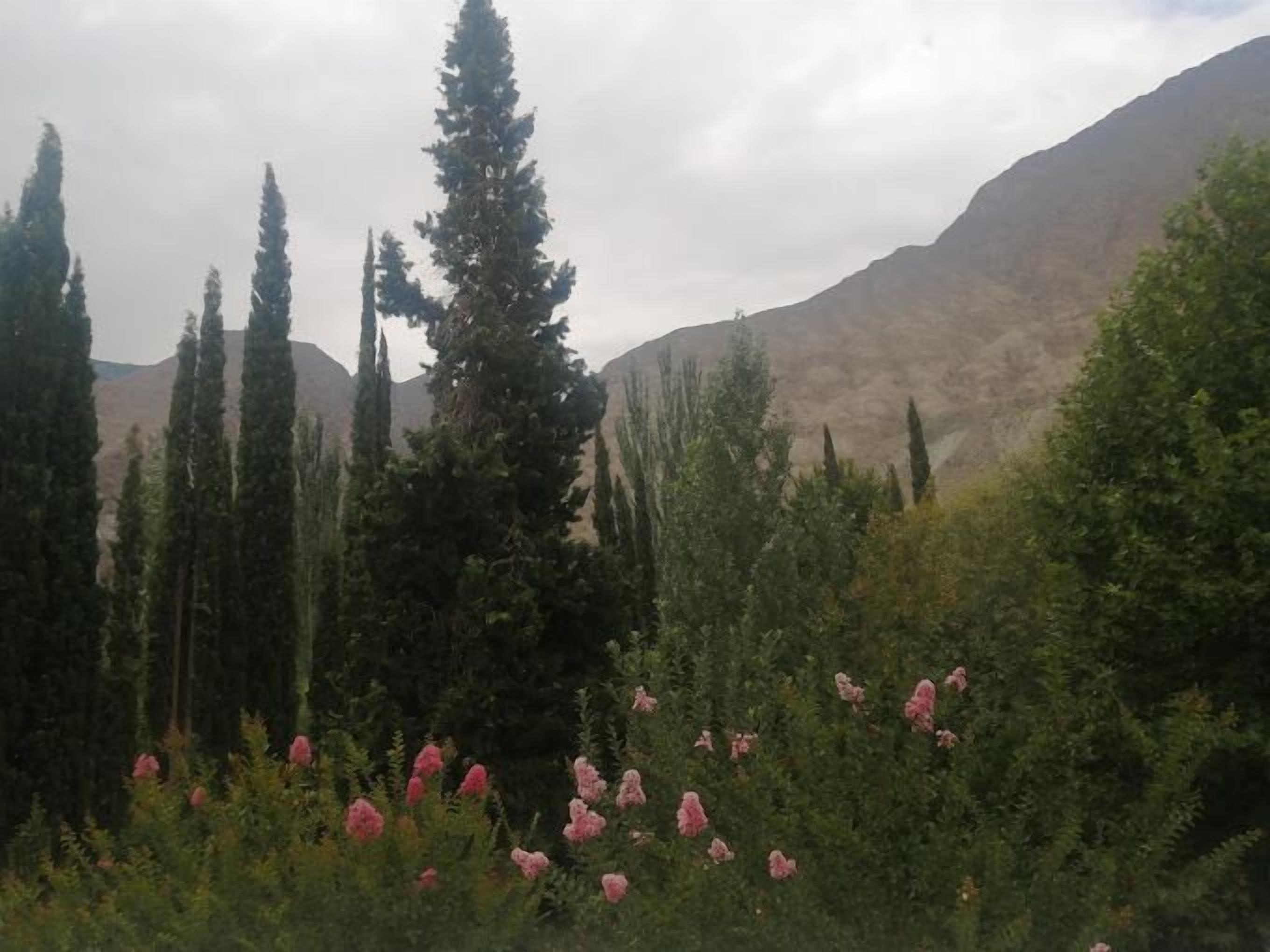 Springfield Resort Gilgit