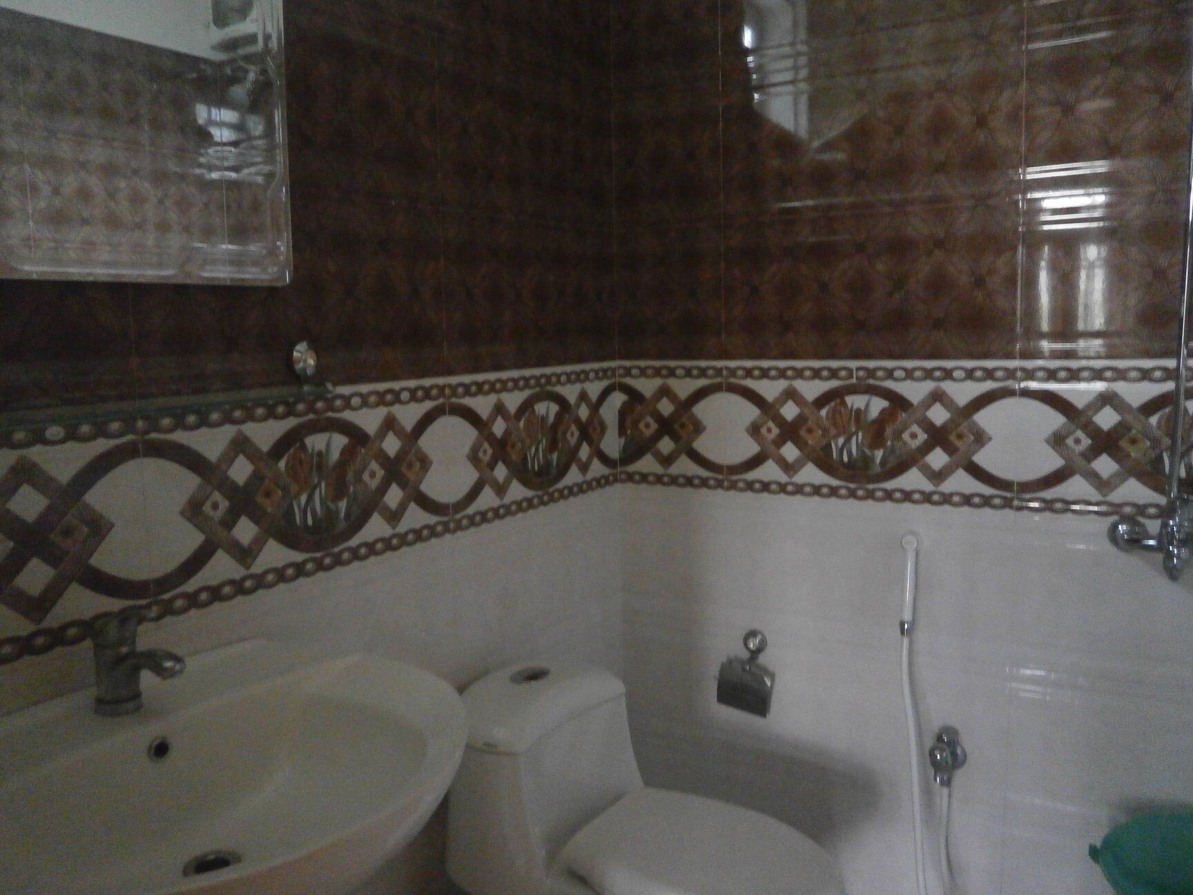 Bhuribake Guest House Hunza