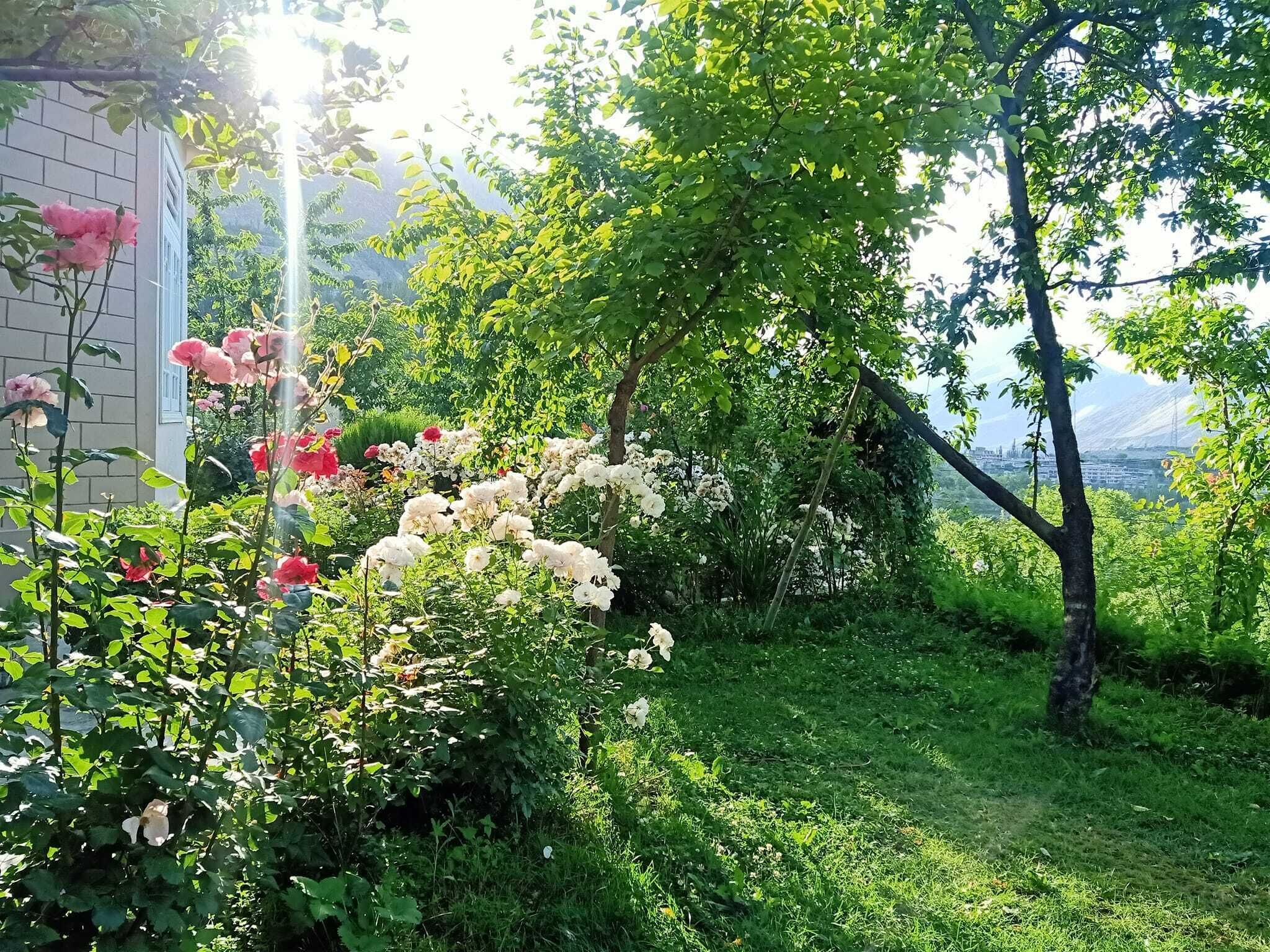 Bhuribake Guest House Hunza