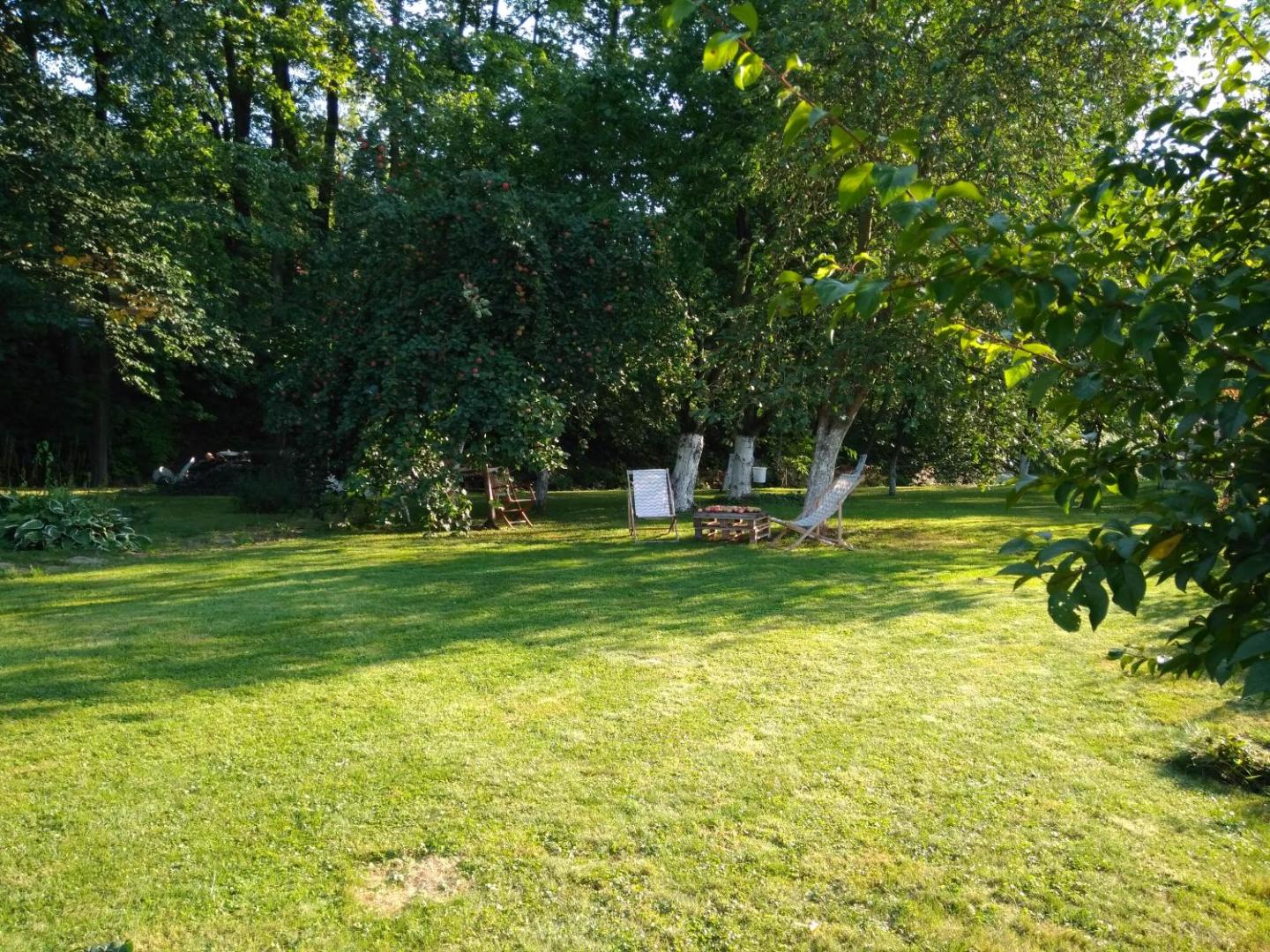 Dom Goscinny Leniuchy