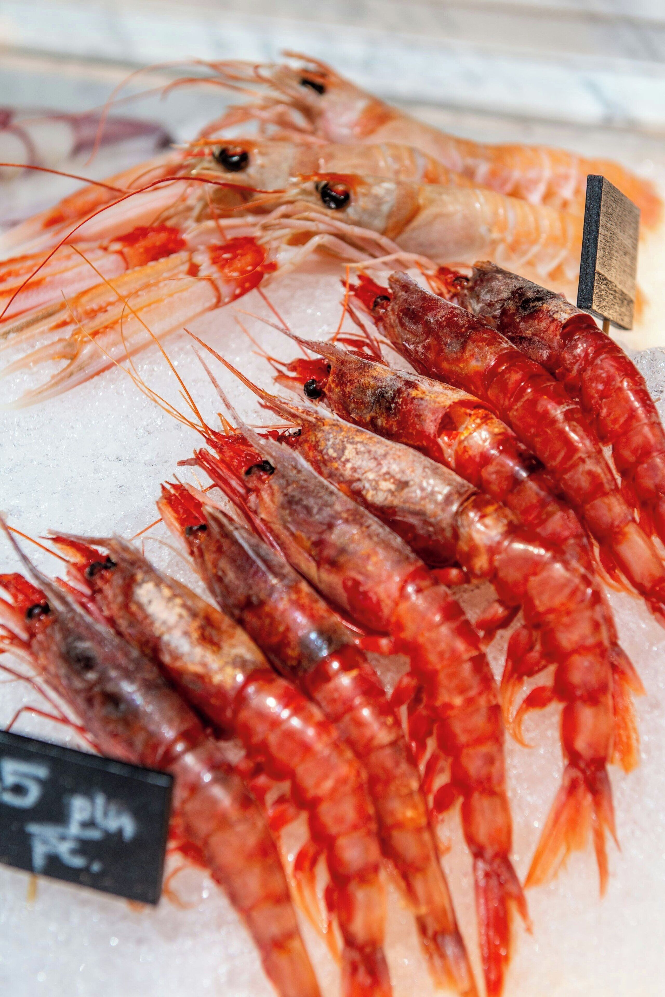 Sheraton Grand Warsaw