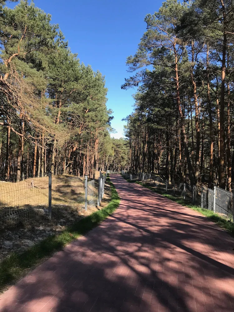 Magnolia Guest House