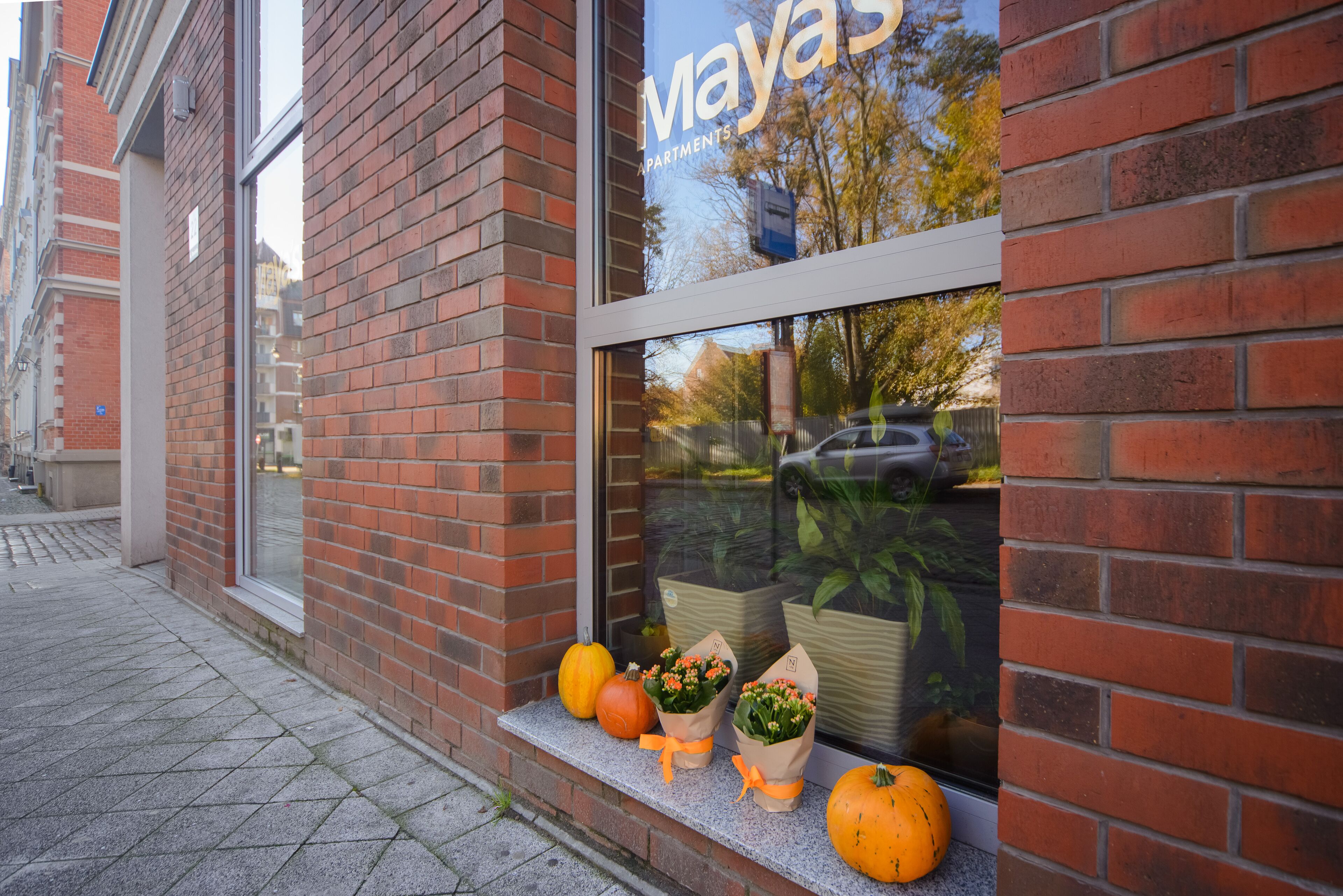 Maya's Apartments