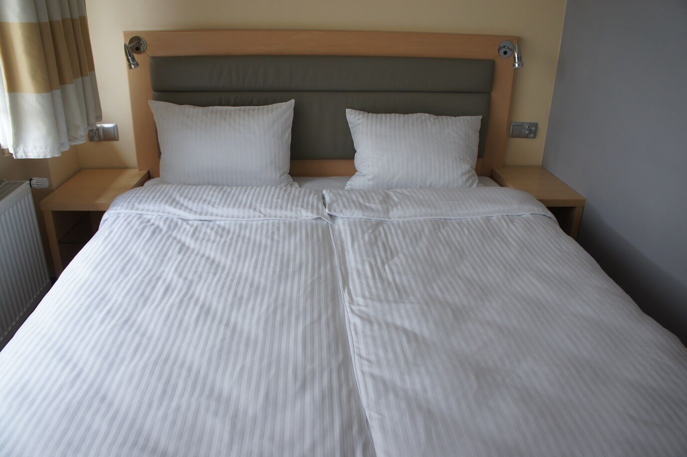 Hostel Bialy Slon