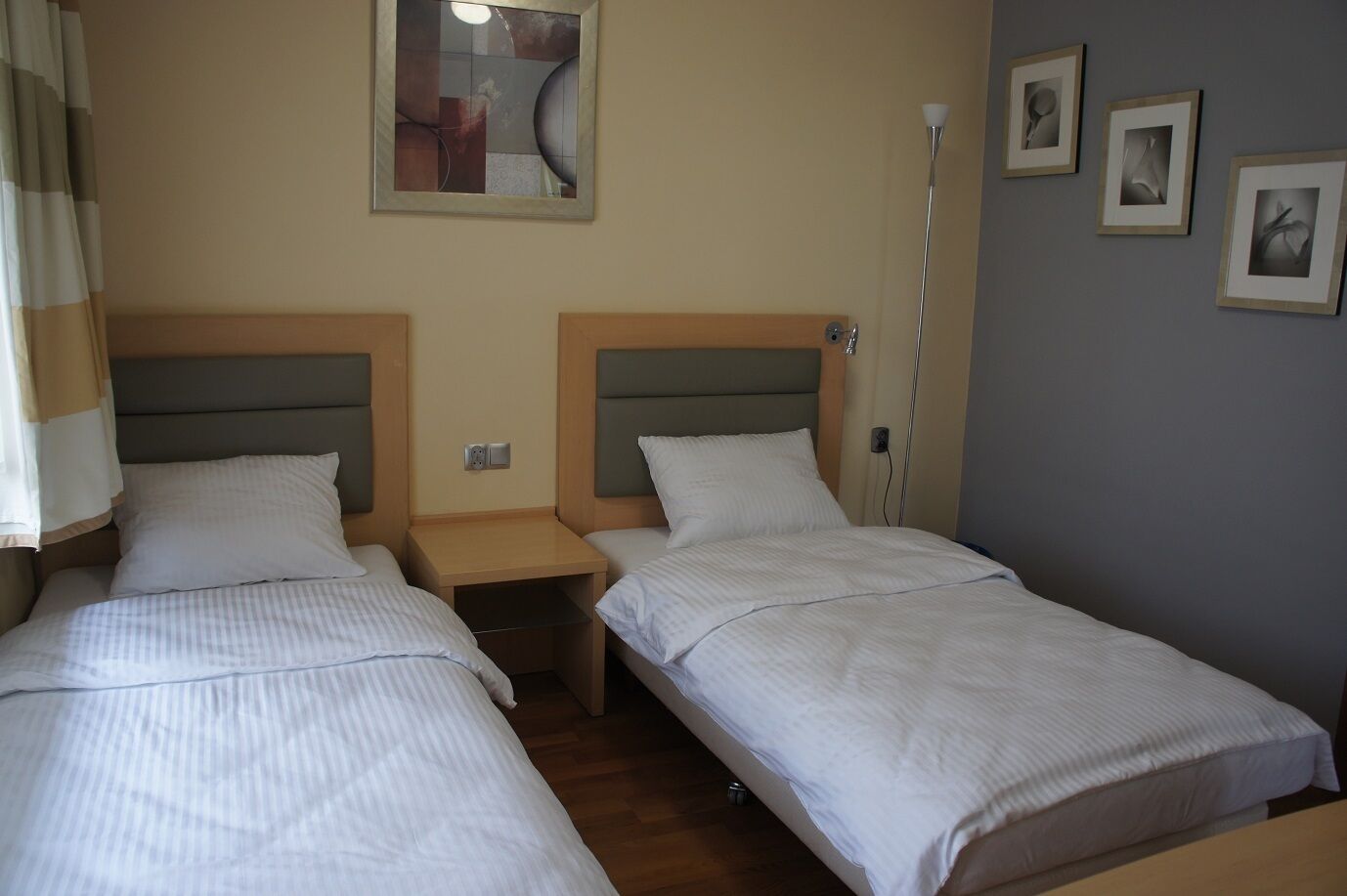 Hostel Bialy Slon