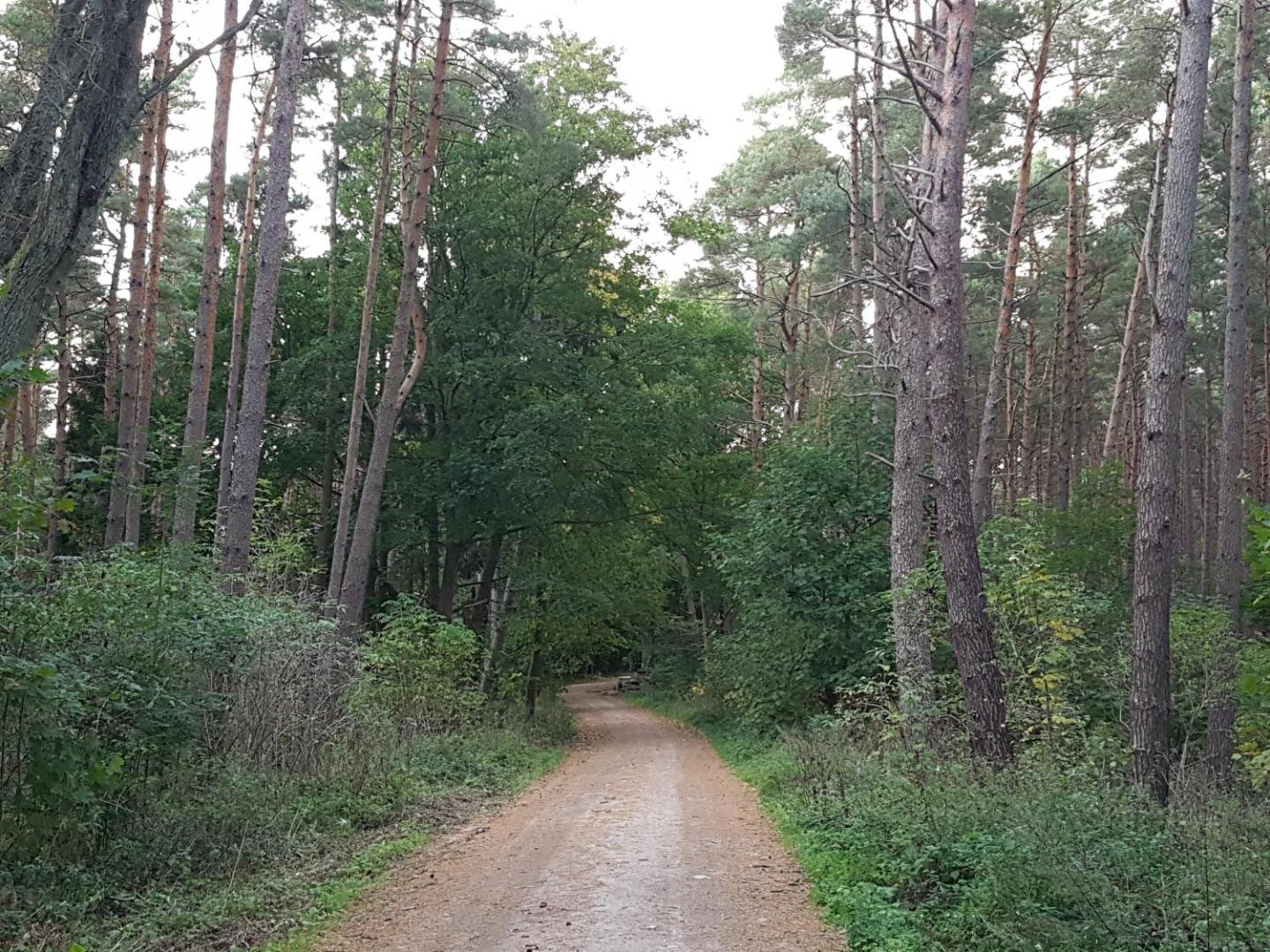 Arcada Domki