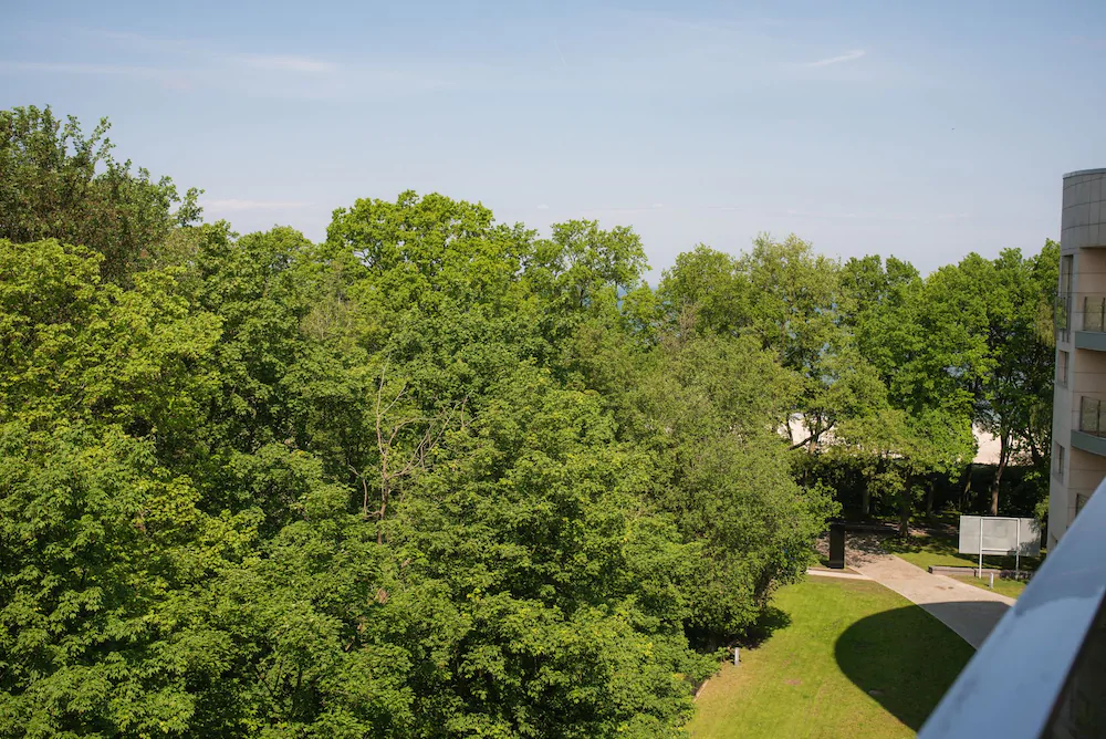 Diune Hotel & Resort