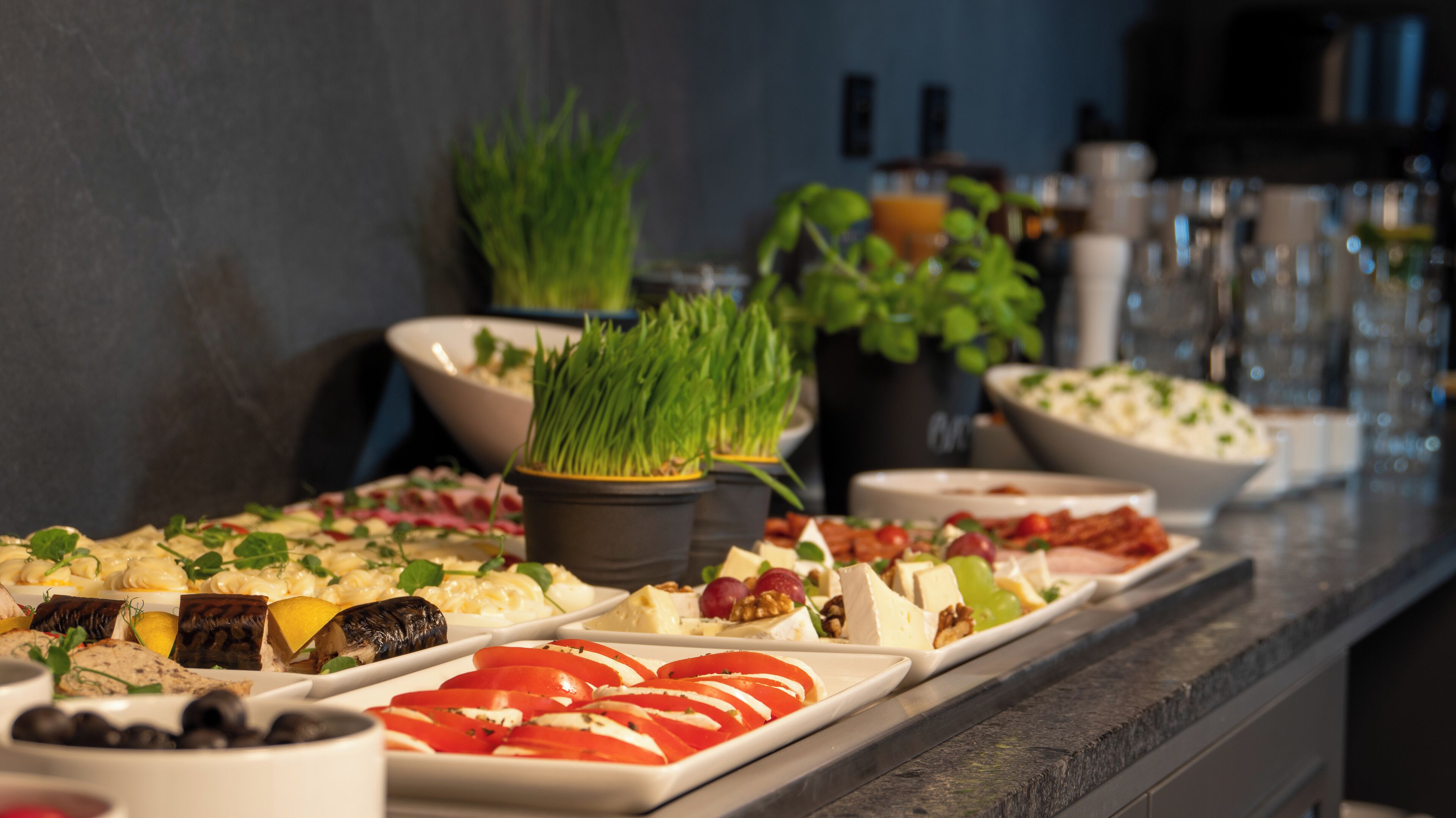 Umi Hotel Sopot