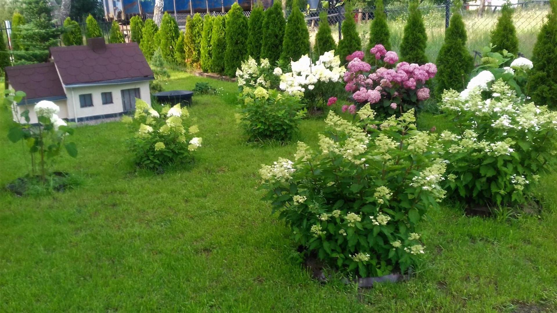 Pokoje Goscinne Przysiolek