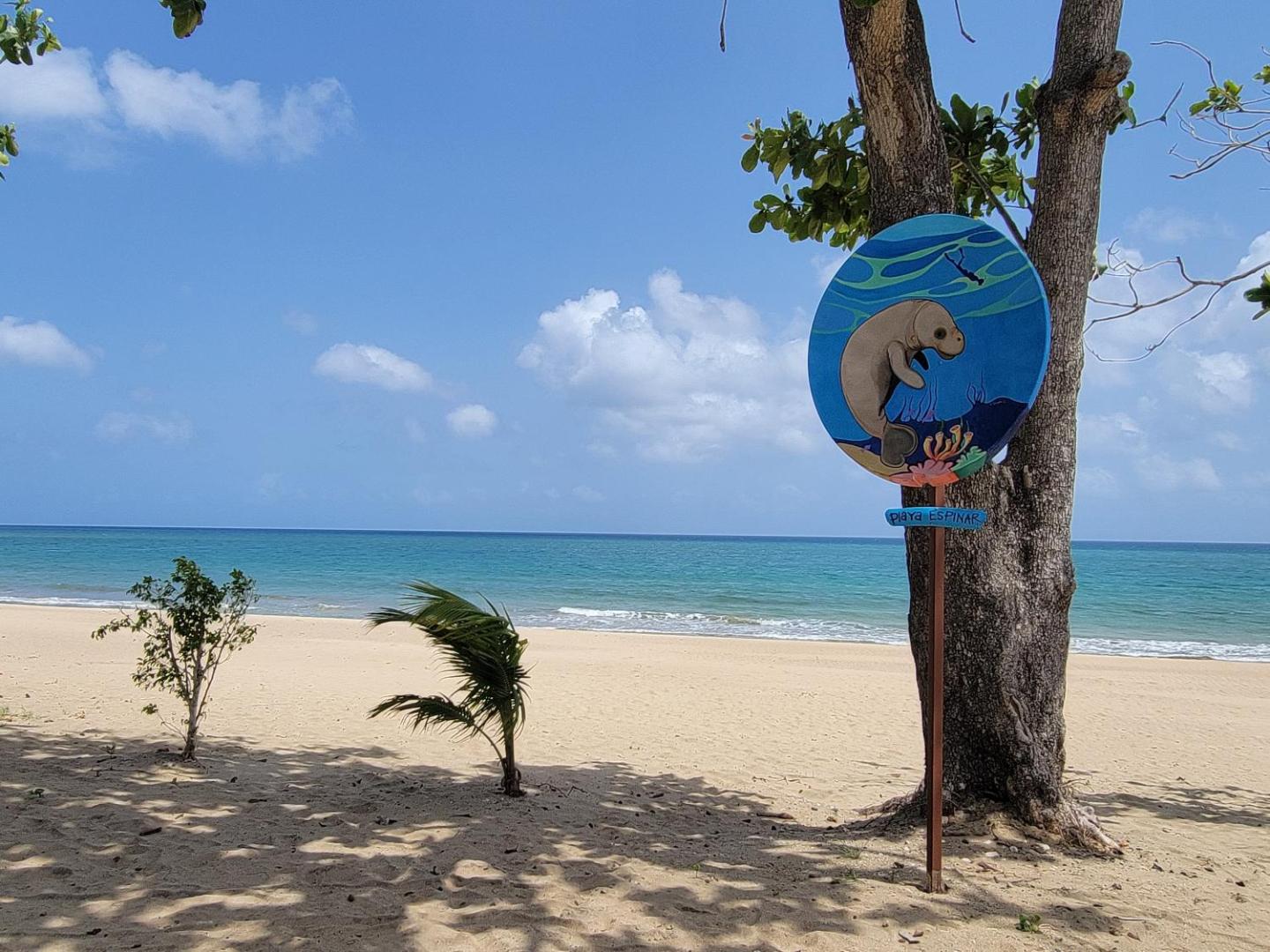 Aguada of the Seas