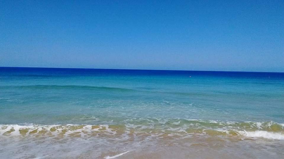 Brisas de Borinquen