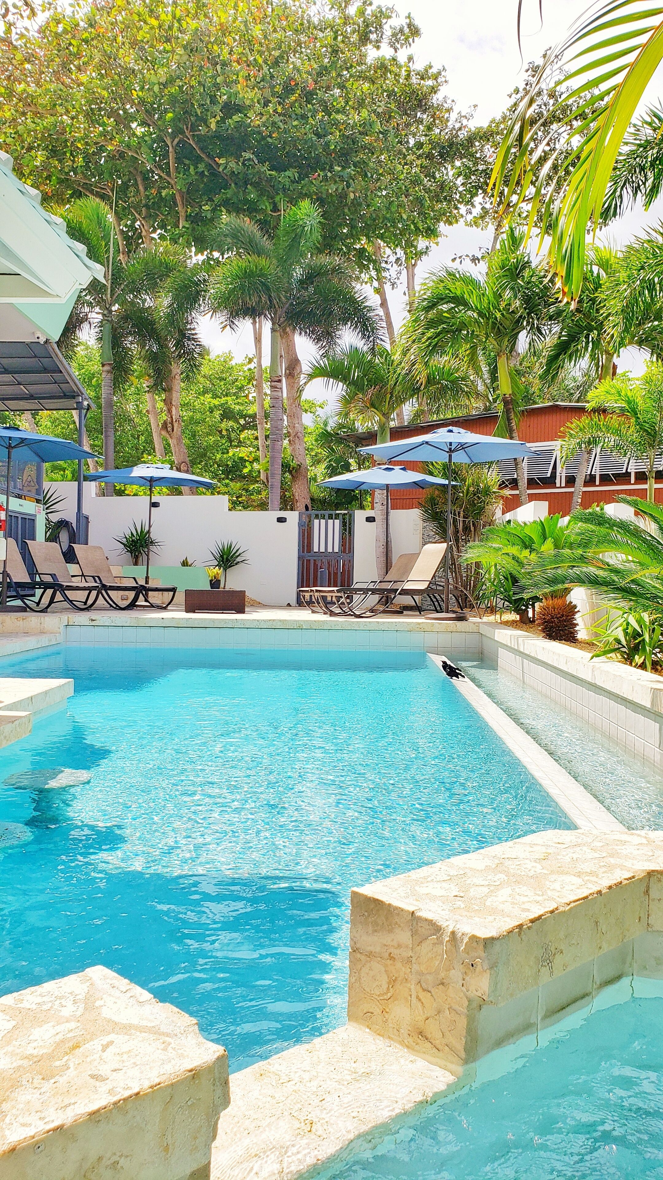 Casa Verde Hotel