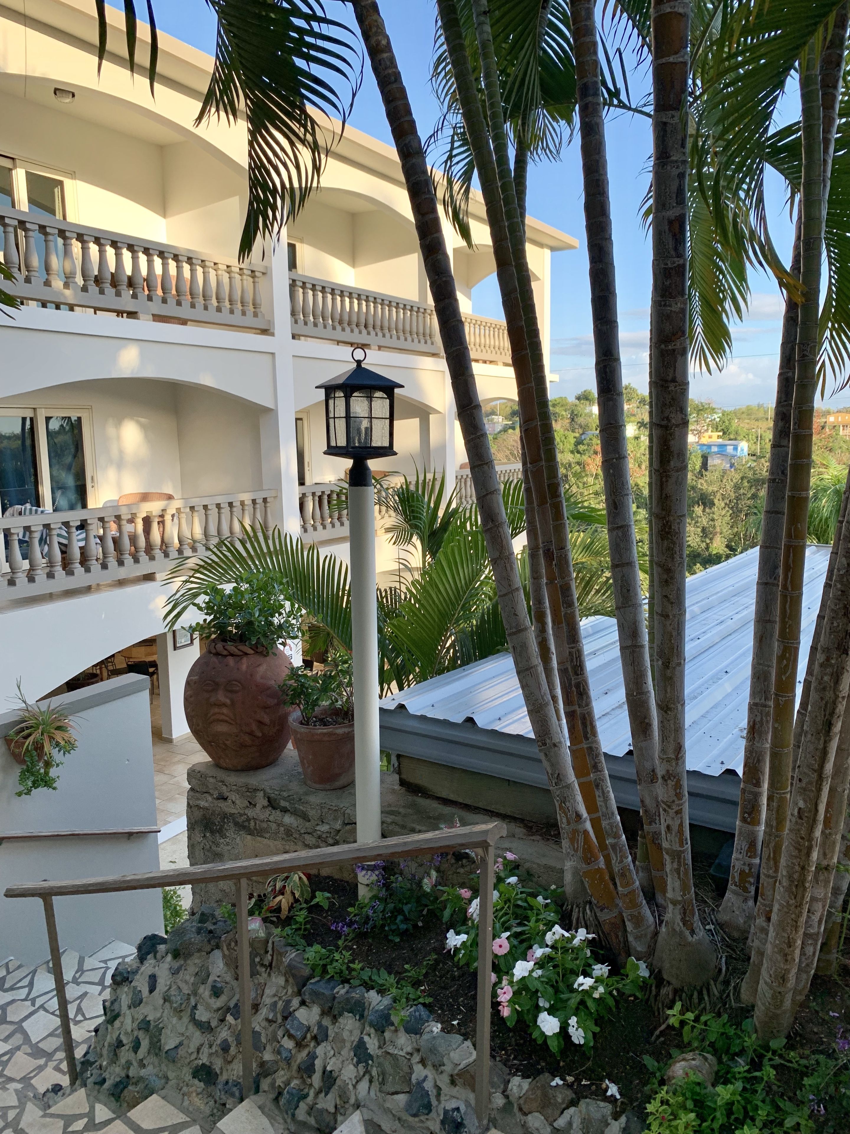 Lazy Parrot Inn