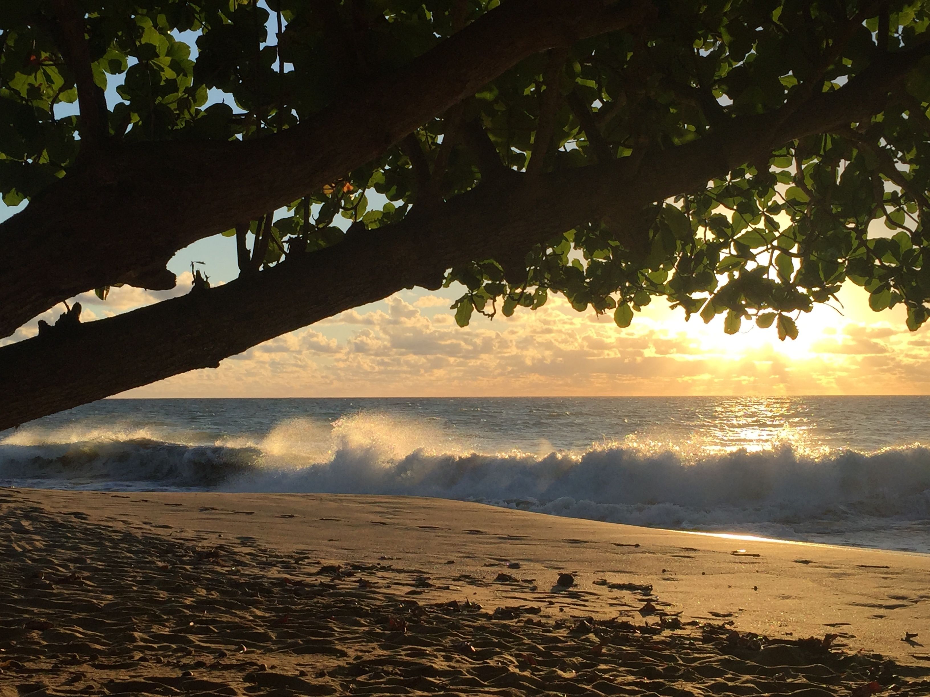 Sea Beach Village