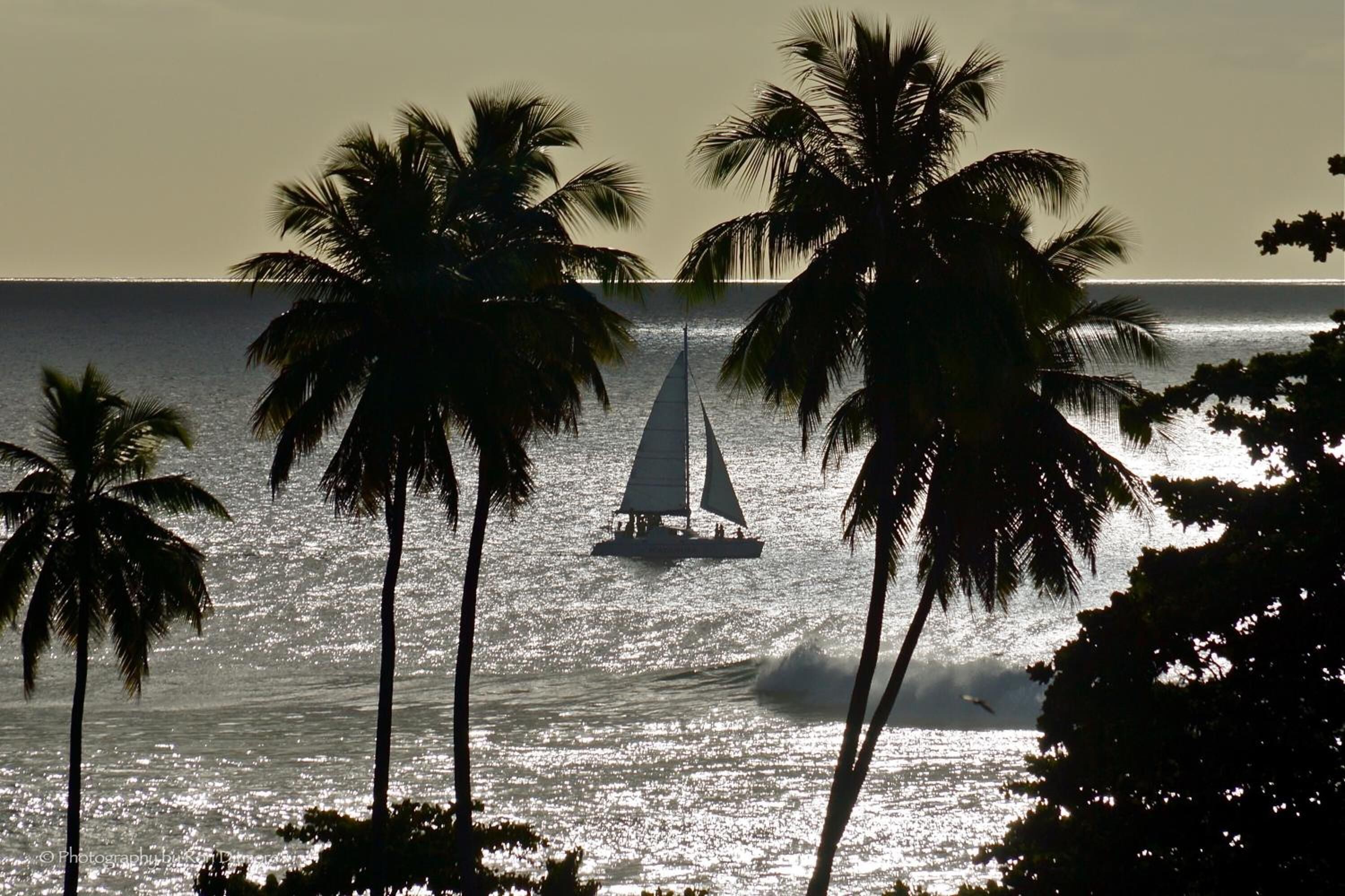 Wave Coast