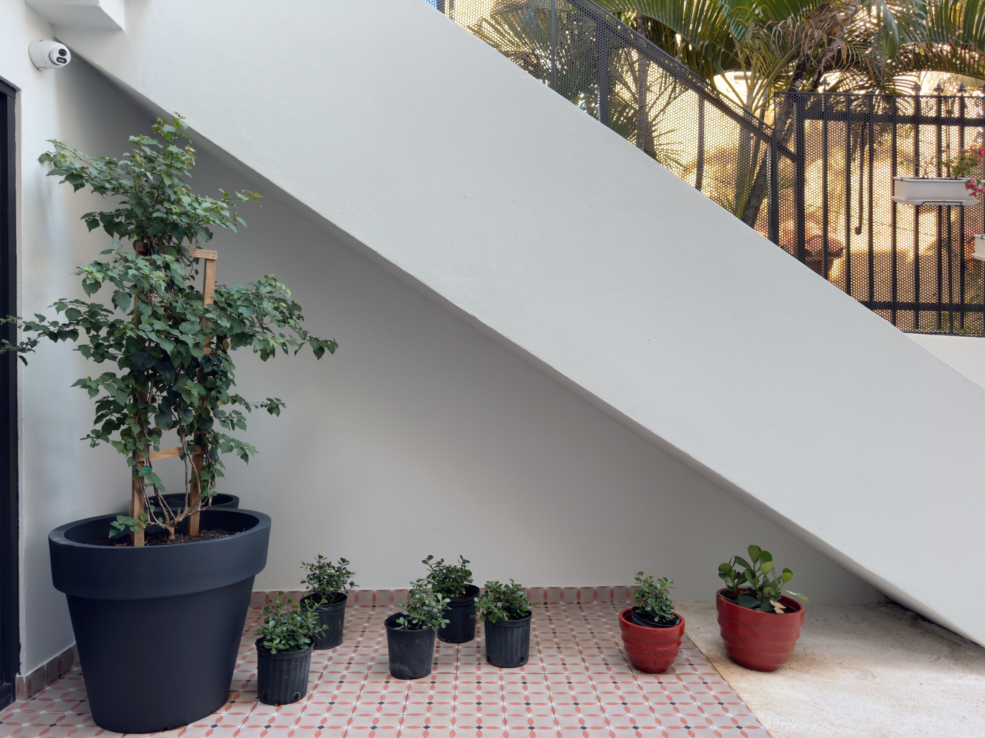 Patio Elba Boutique Hotel