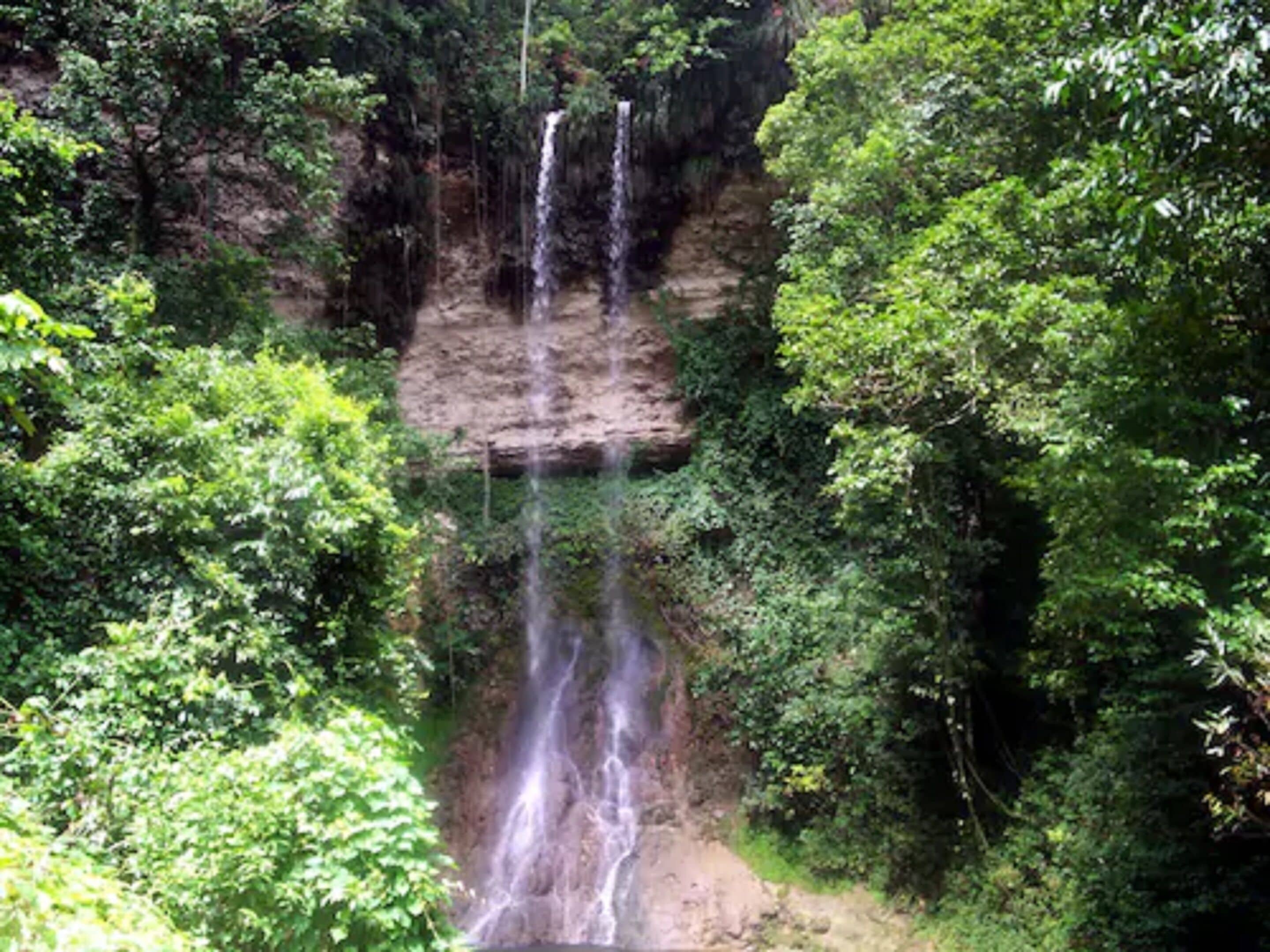 Hotel Hacienda El Jibarito