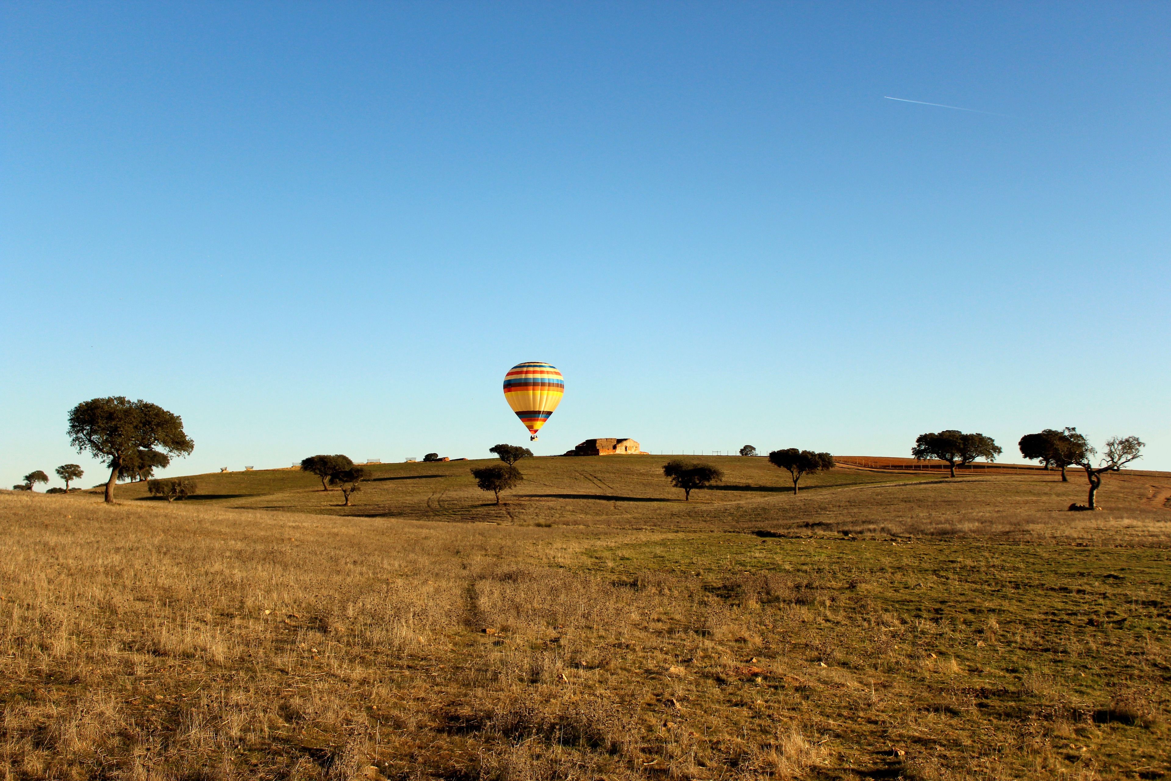Hotel Rural Vila Gale Alentejo Vineyards