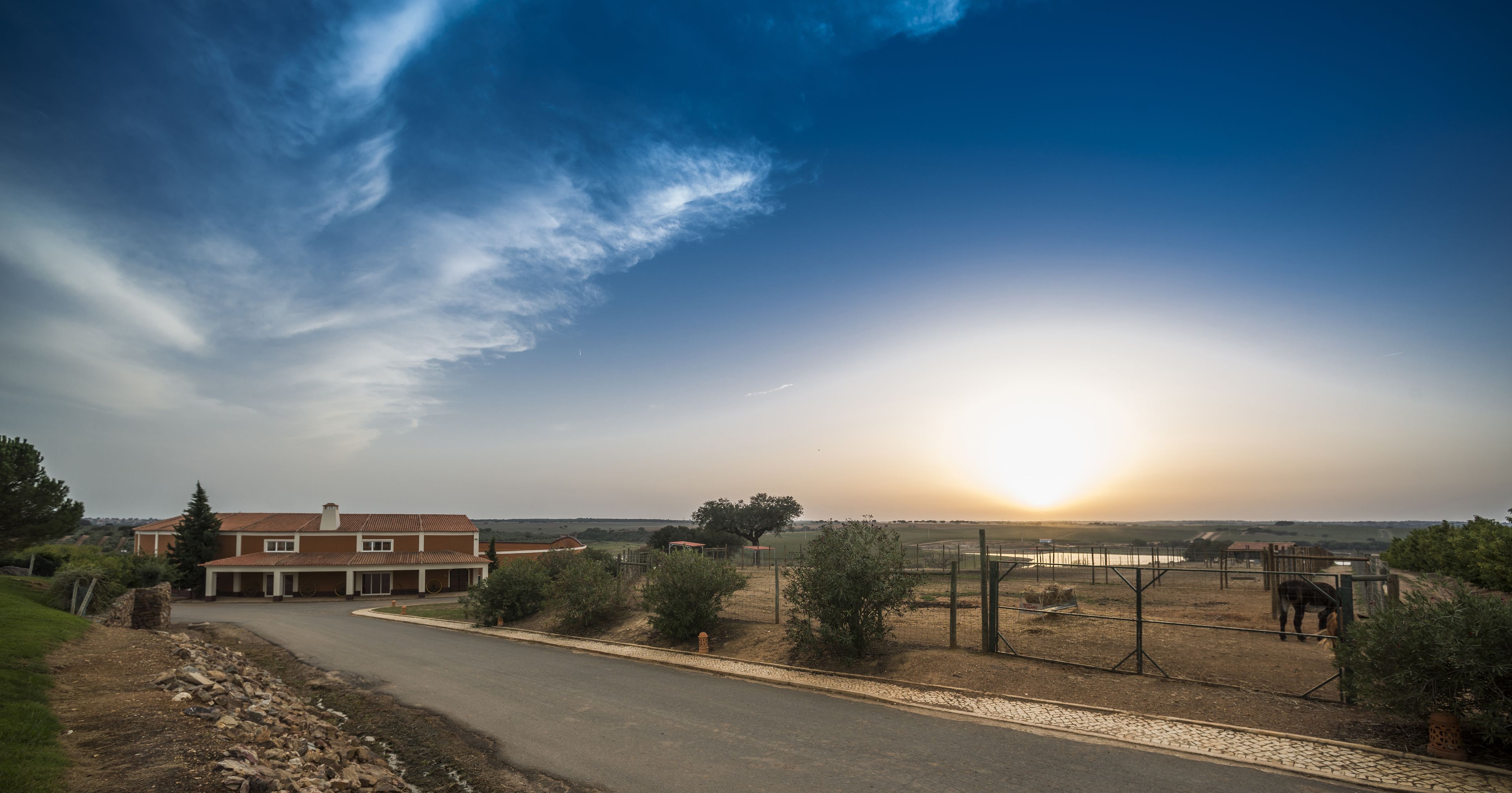 Hotel Rural Vila Gale Alentejo Vineyards