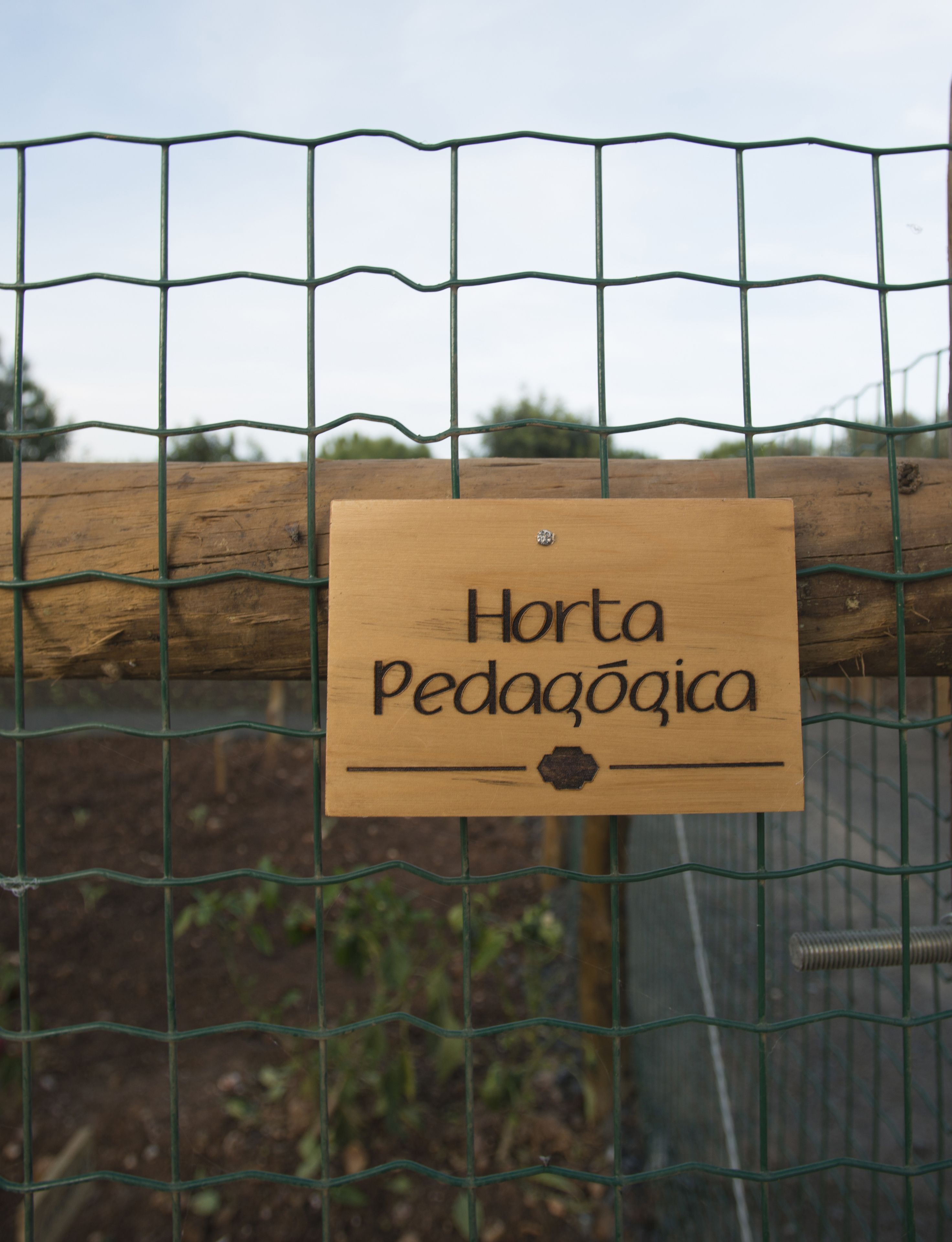 Hotel Rural Vila Gale Alentejo Vineyards