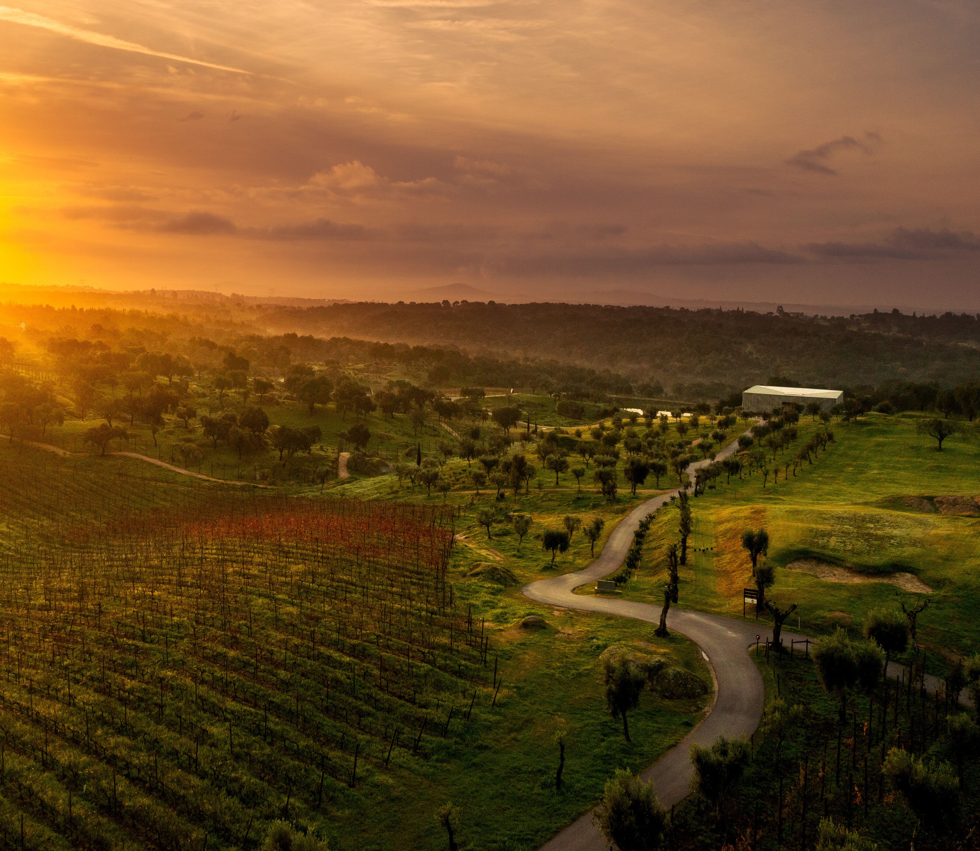 Herdade da Rocha - Boutique Lodge