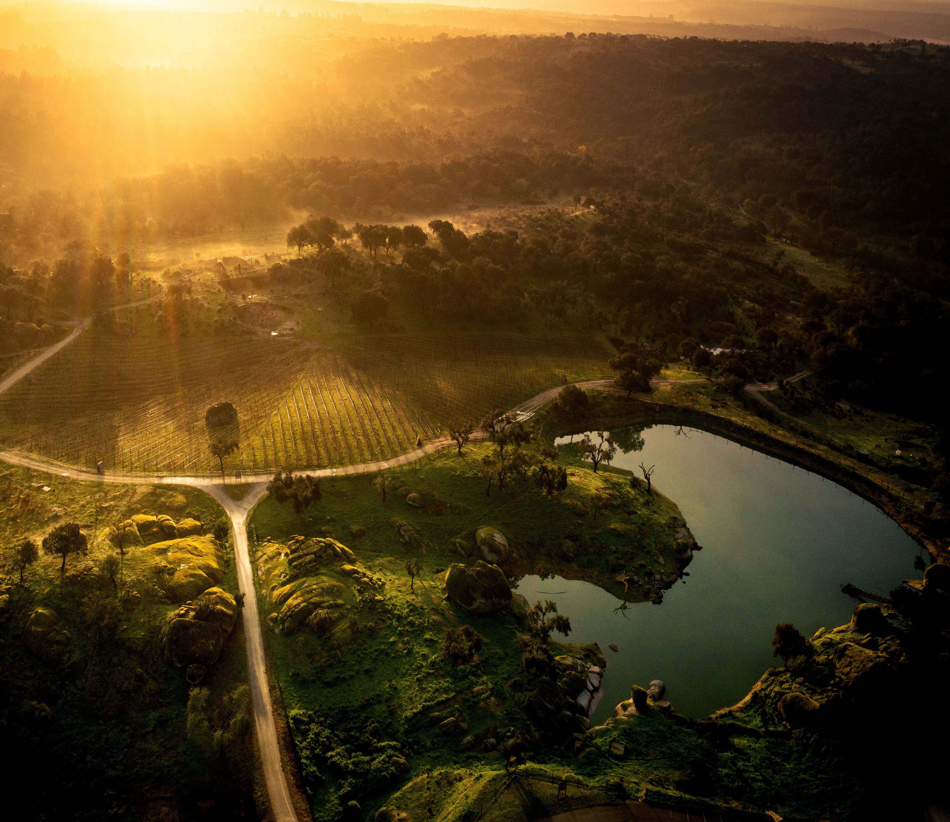 Herdade da Rocha - Boutique Lodge